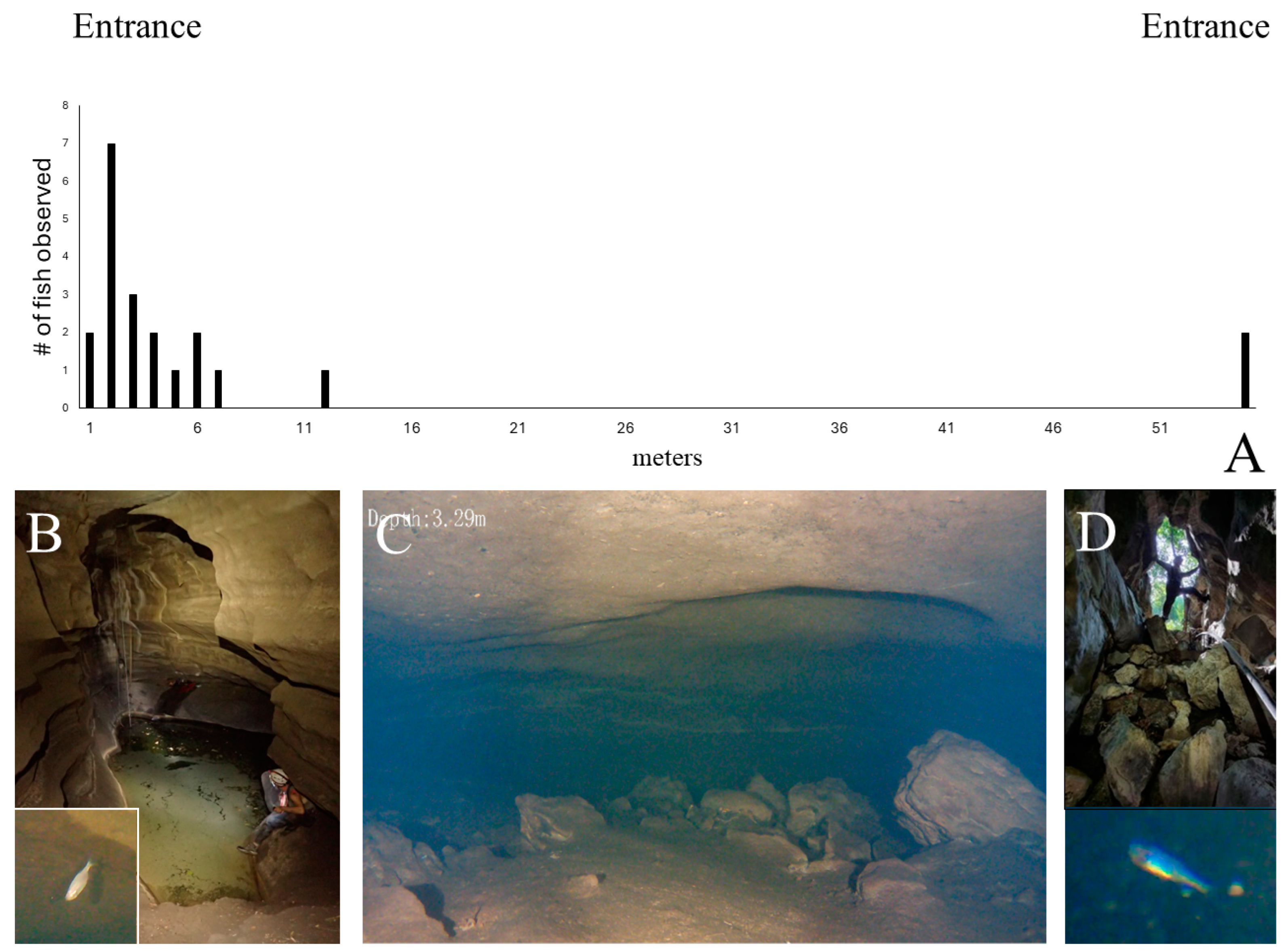 Fishes 09 00334 g003