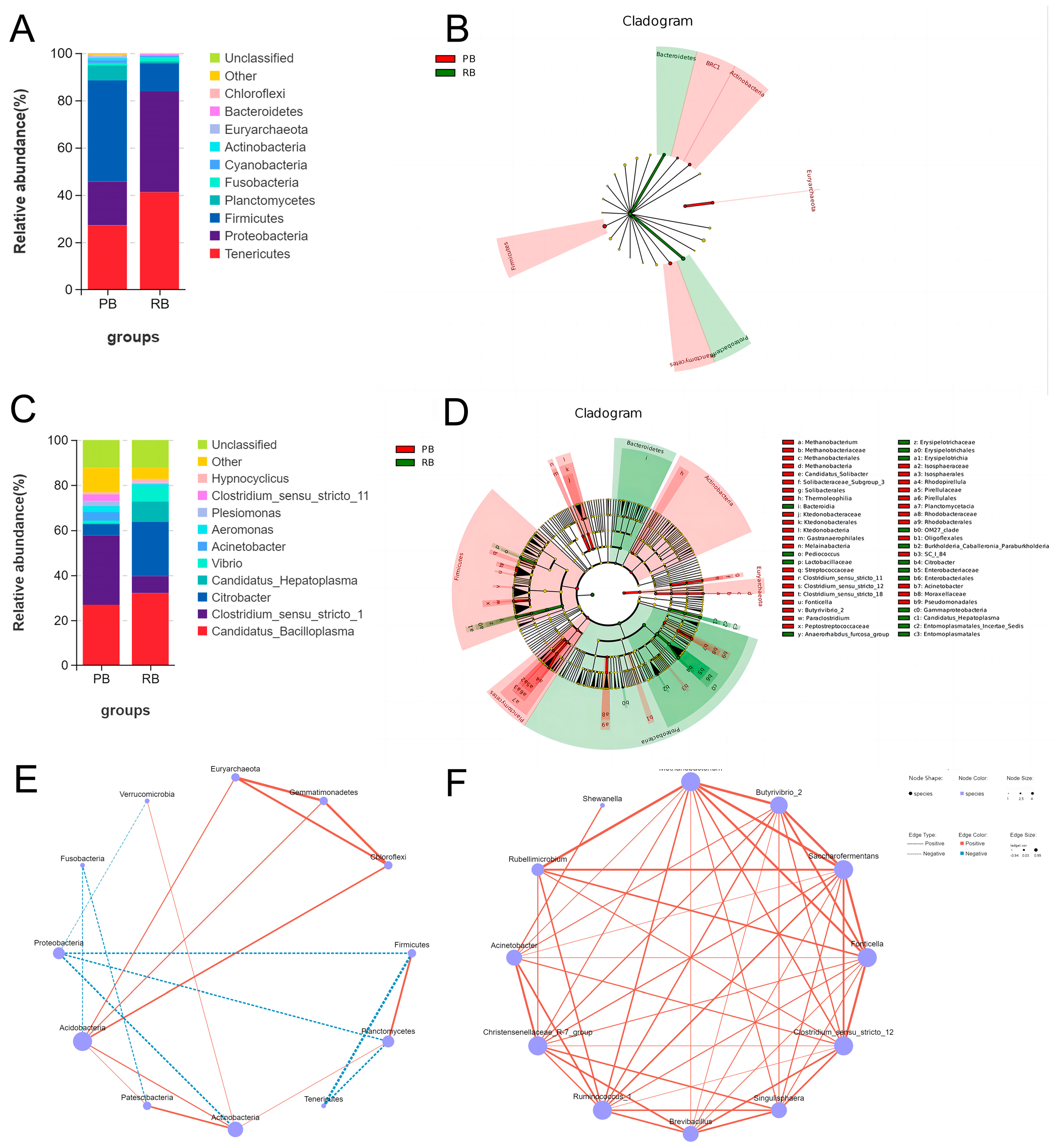 Fishes 09 00345 g004