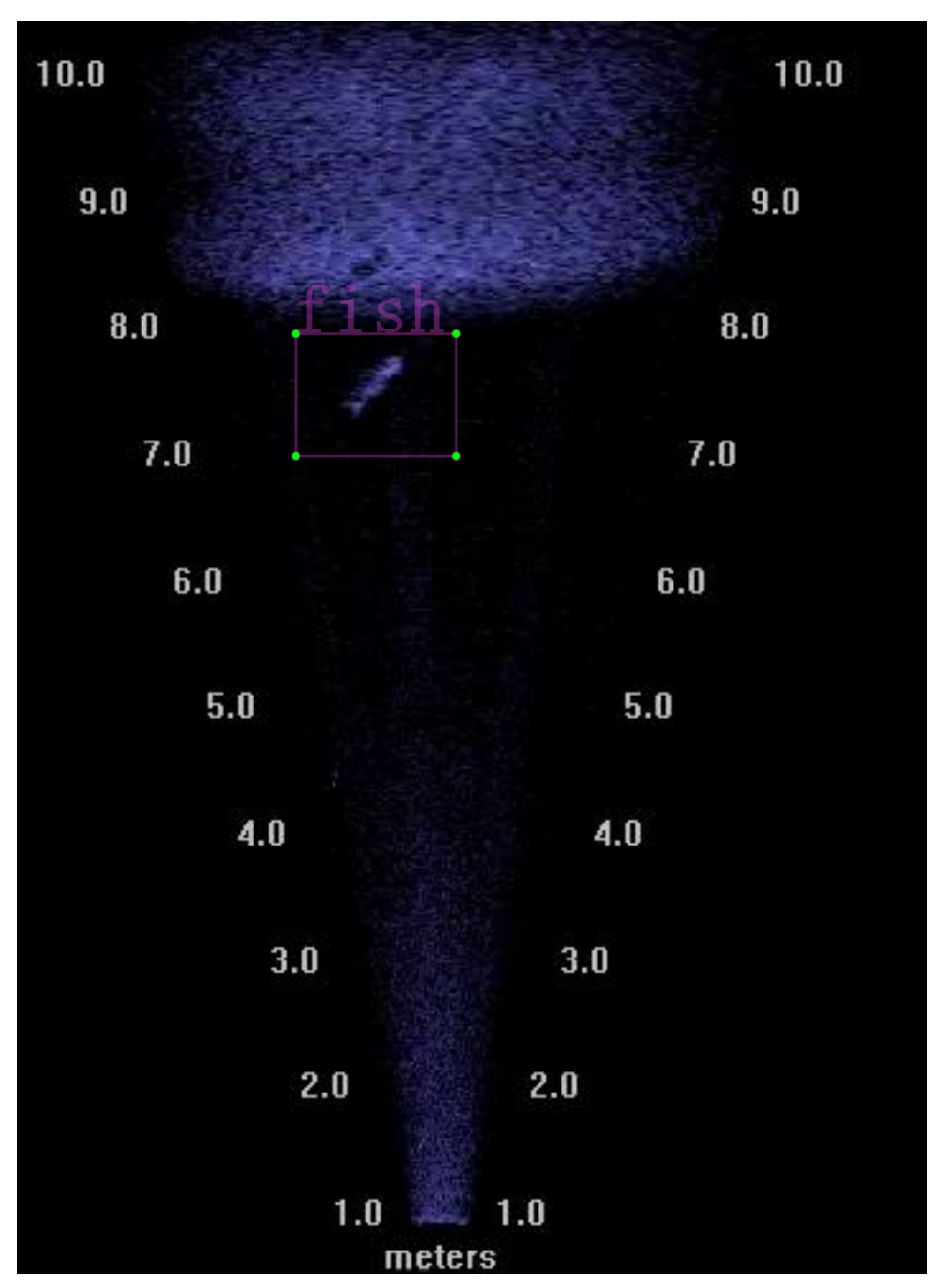 Fishes 09 00346 g004