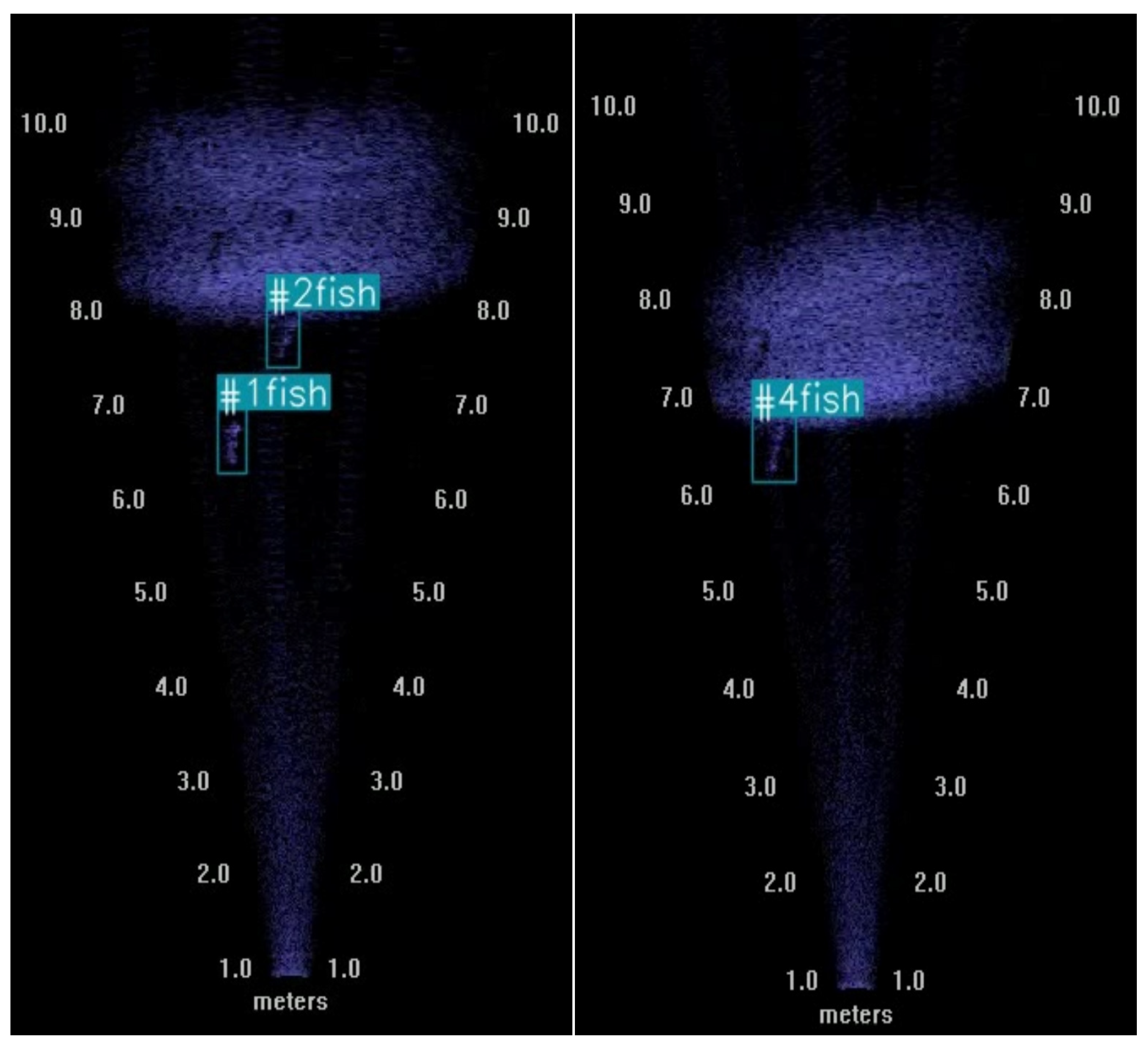 Fishes 09 00346 g006