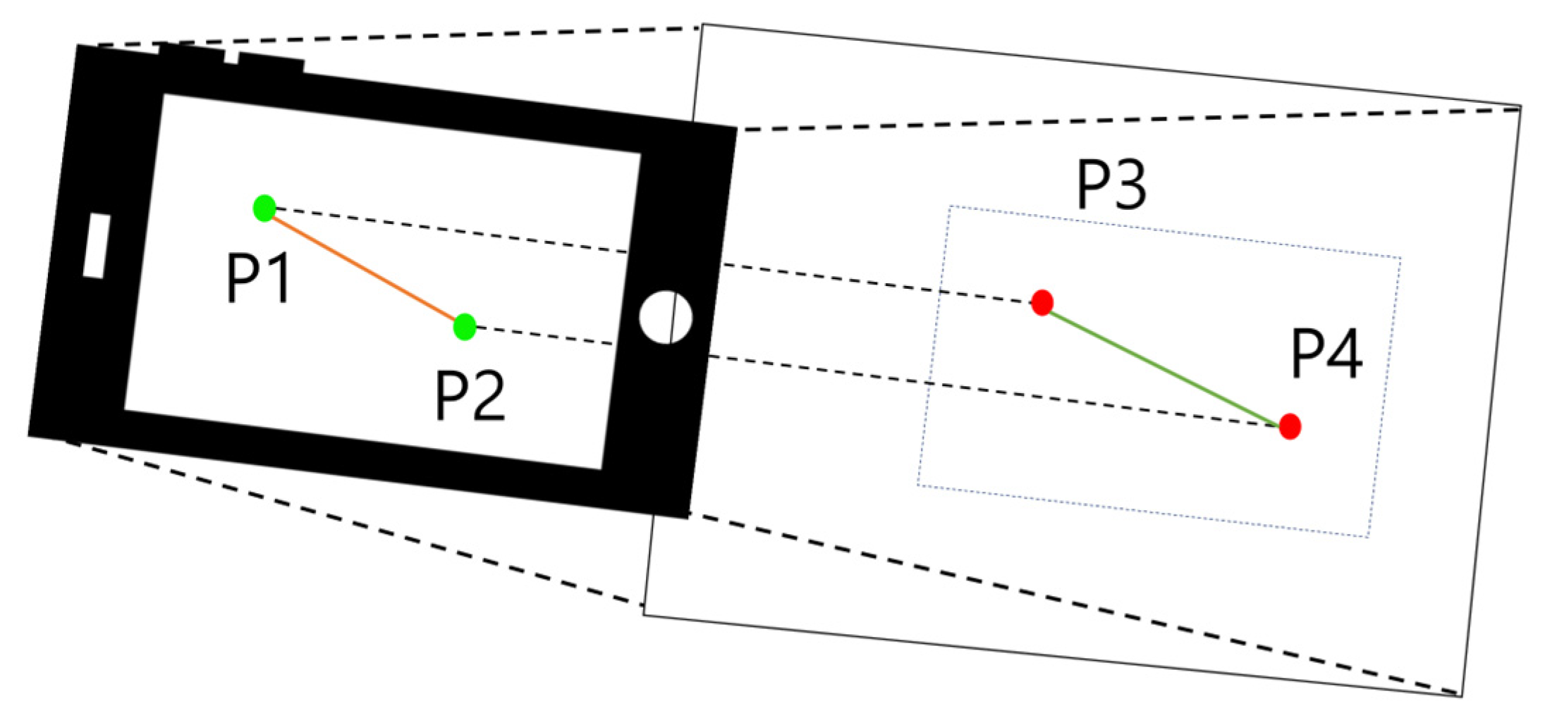 Fishes 09 00349 g004