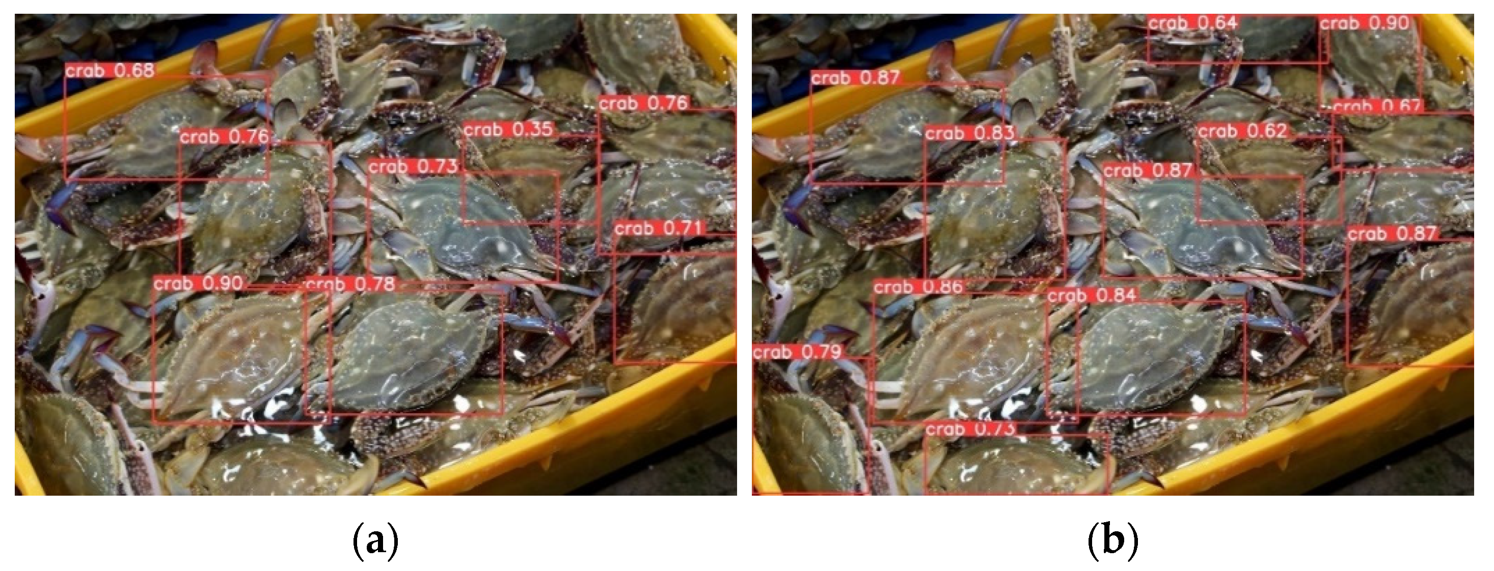 Fishes 09 00349 g009