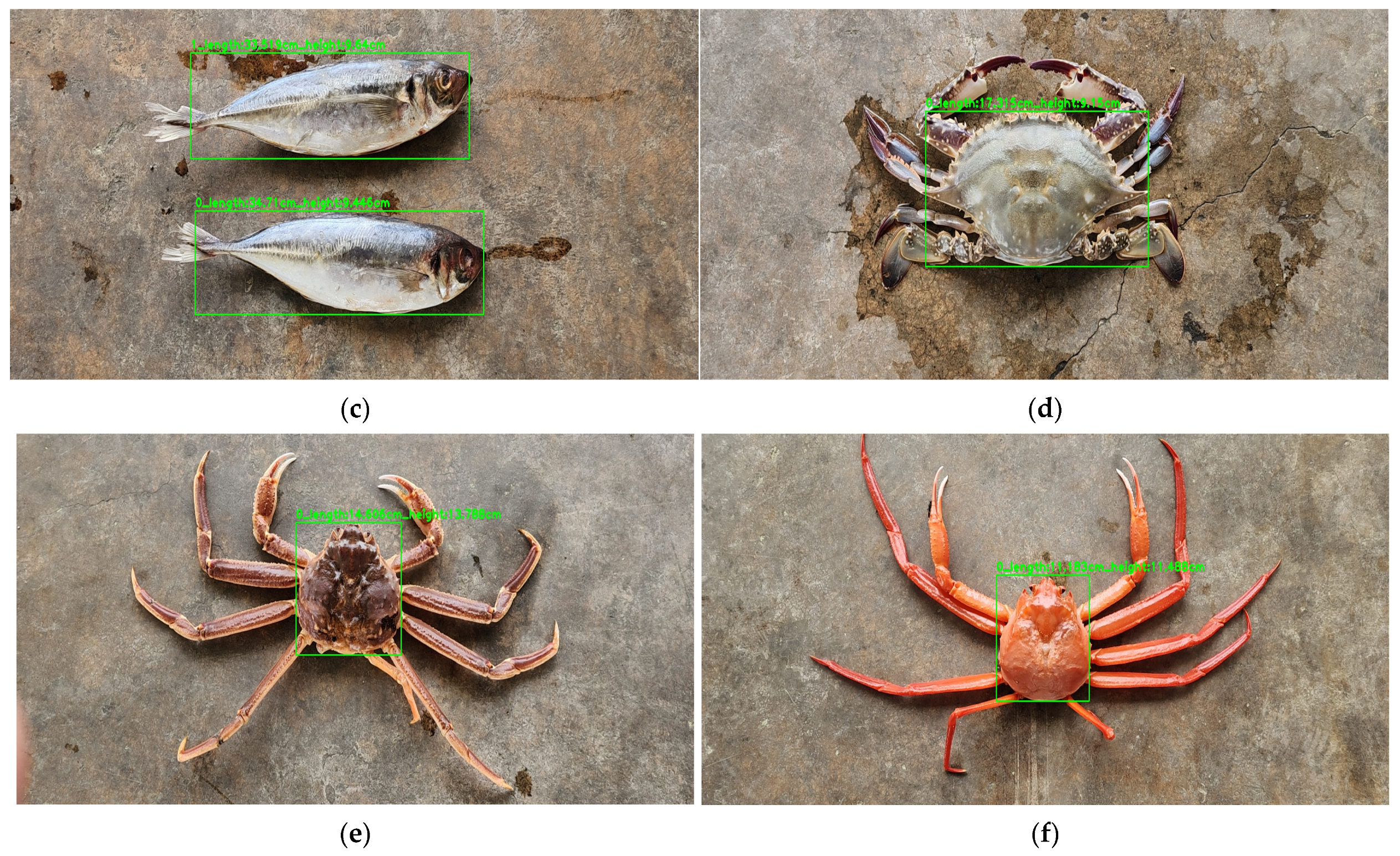 Fishes 09 00349 g010b