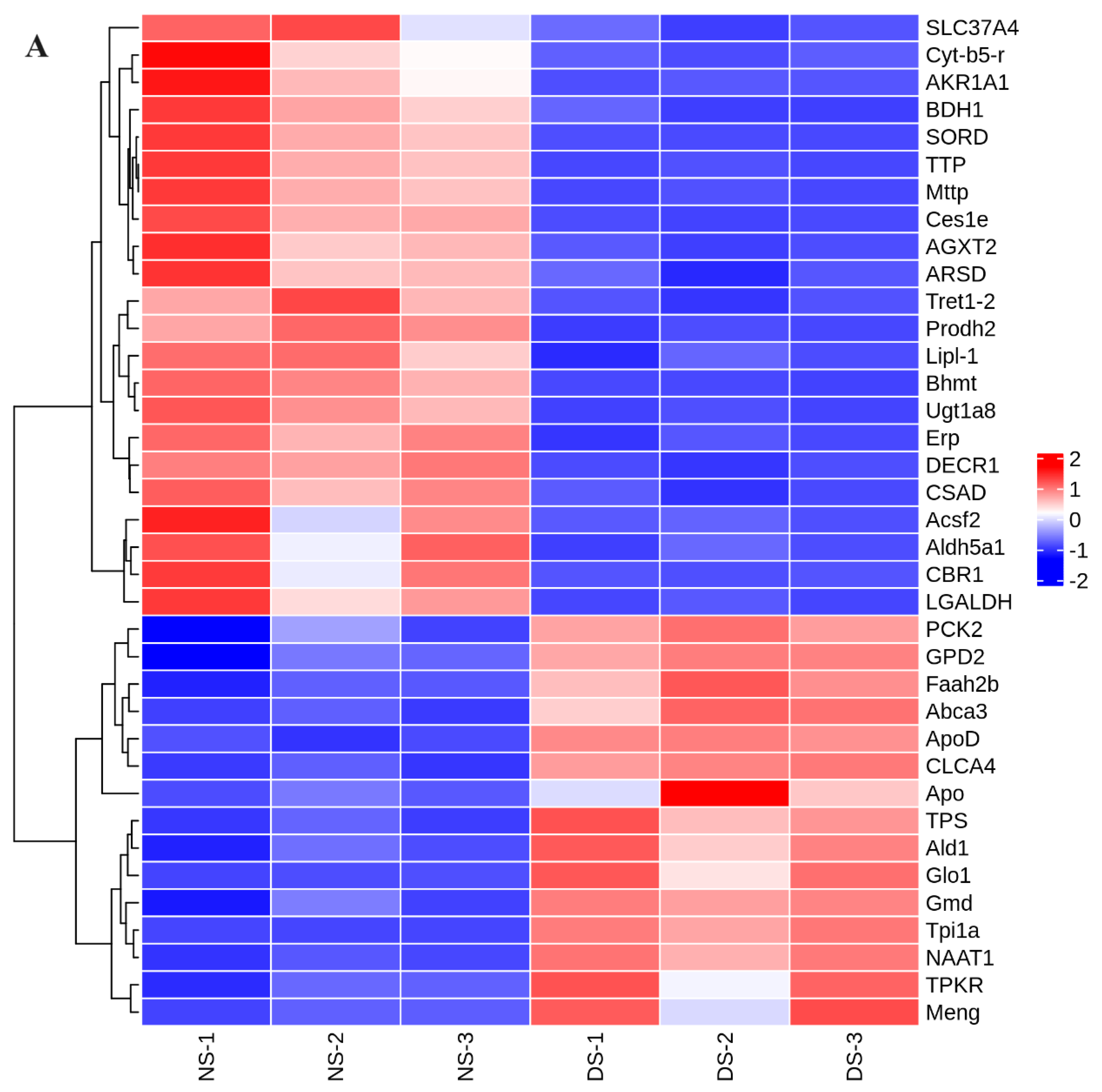 Fishes 09 00350 g004a