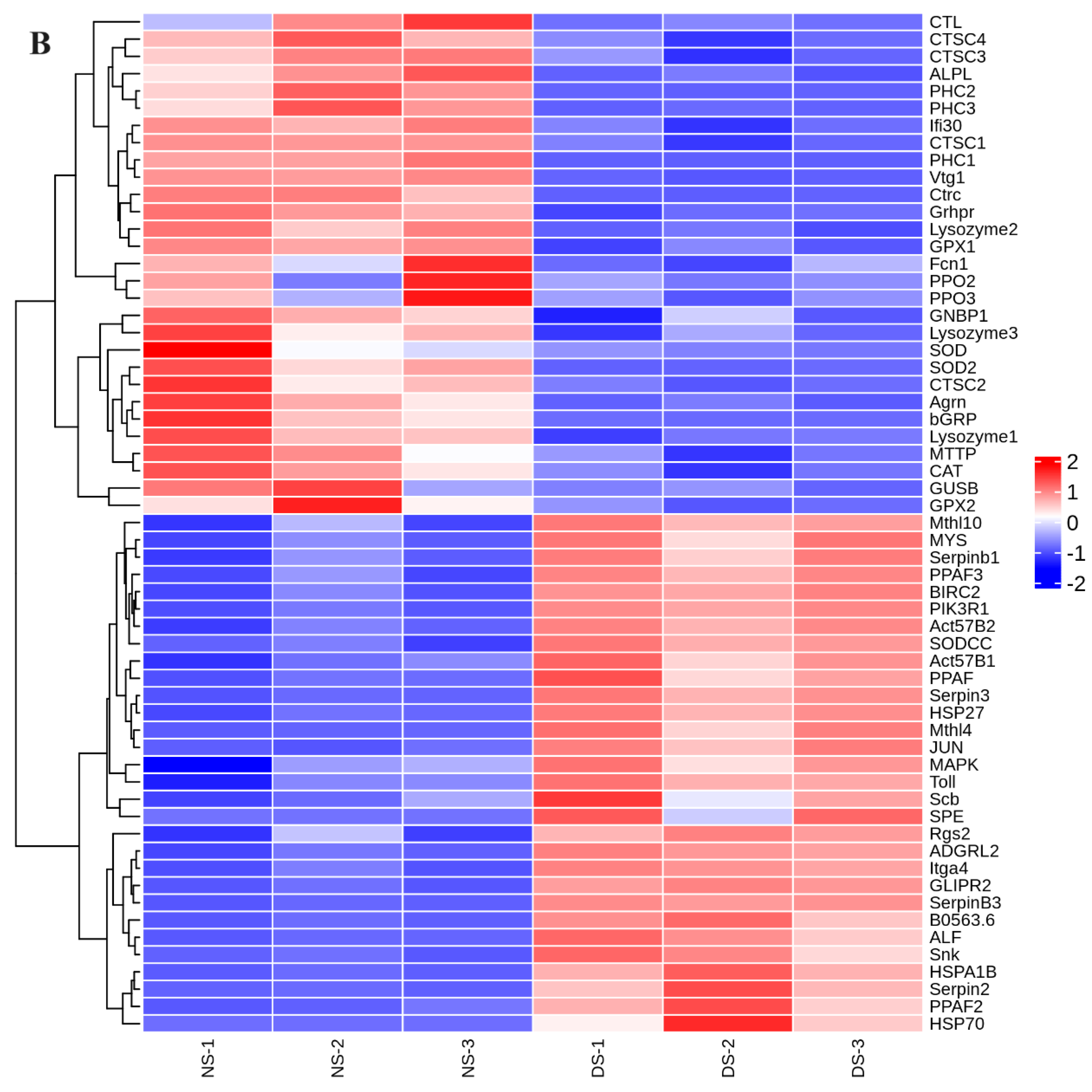 Fishes 09 00350 g004b