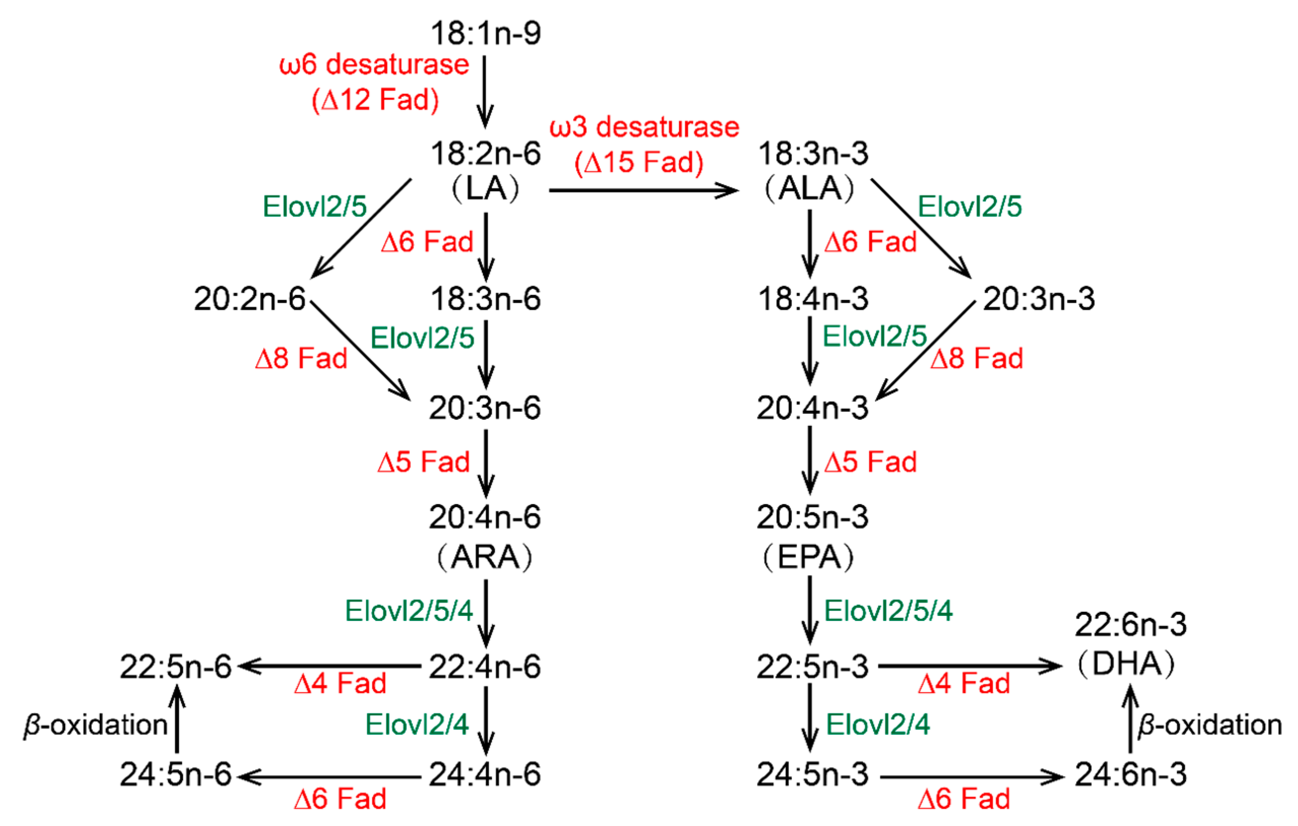 Fishes 09 00359 g001