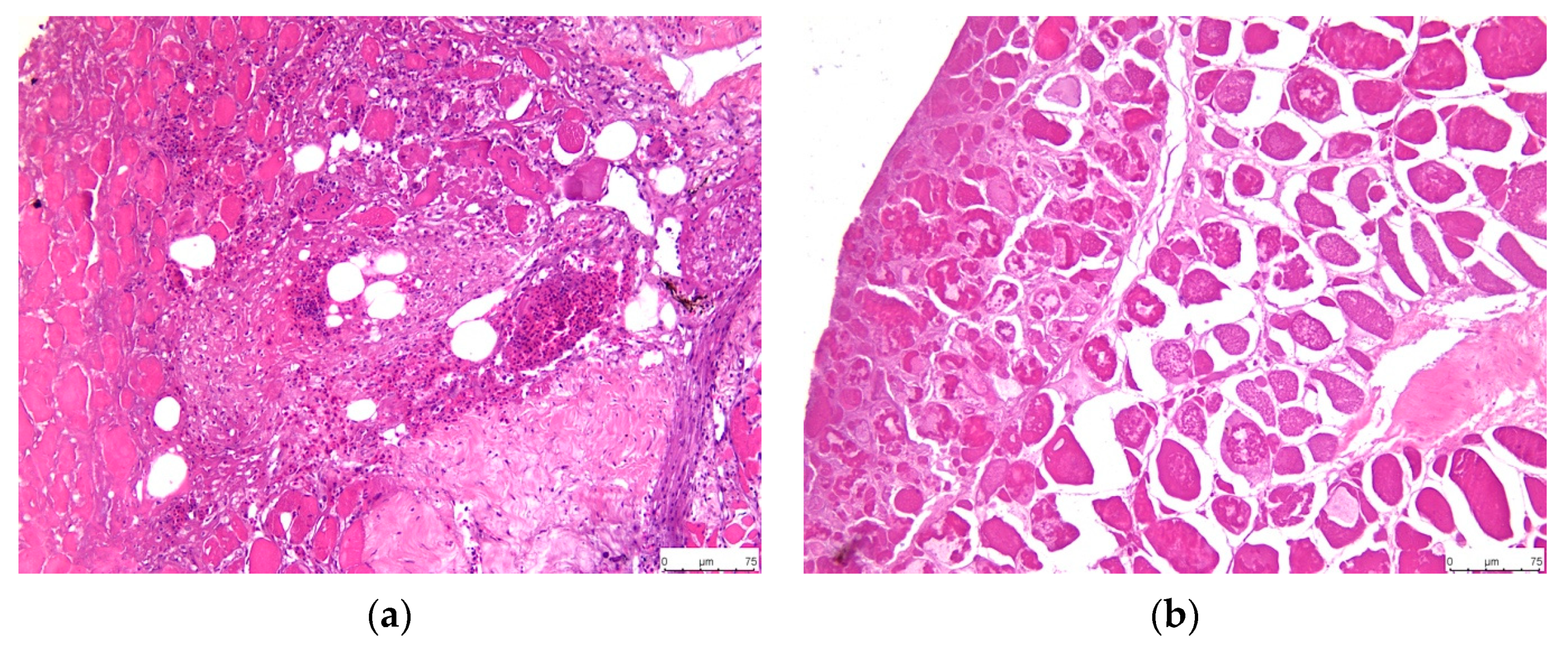 Fishes 09 00360 g005