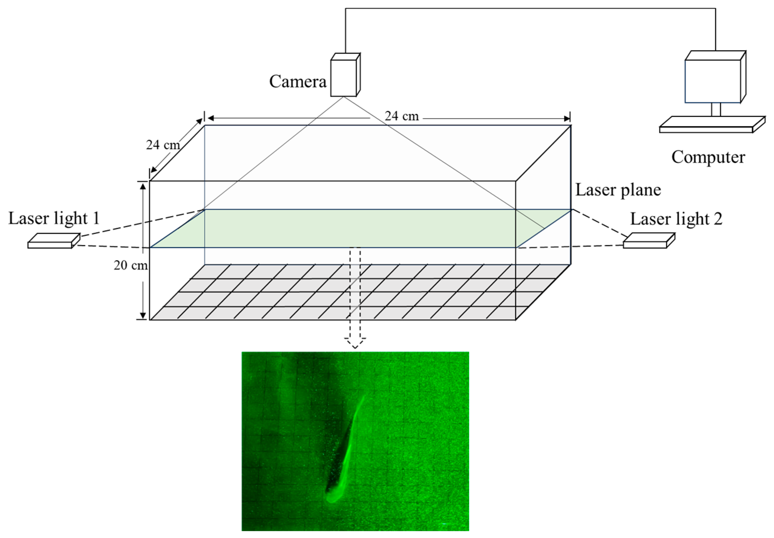 Fishes 09 00365 g002