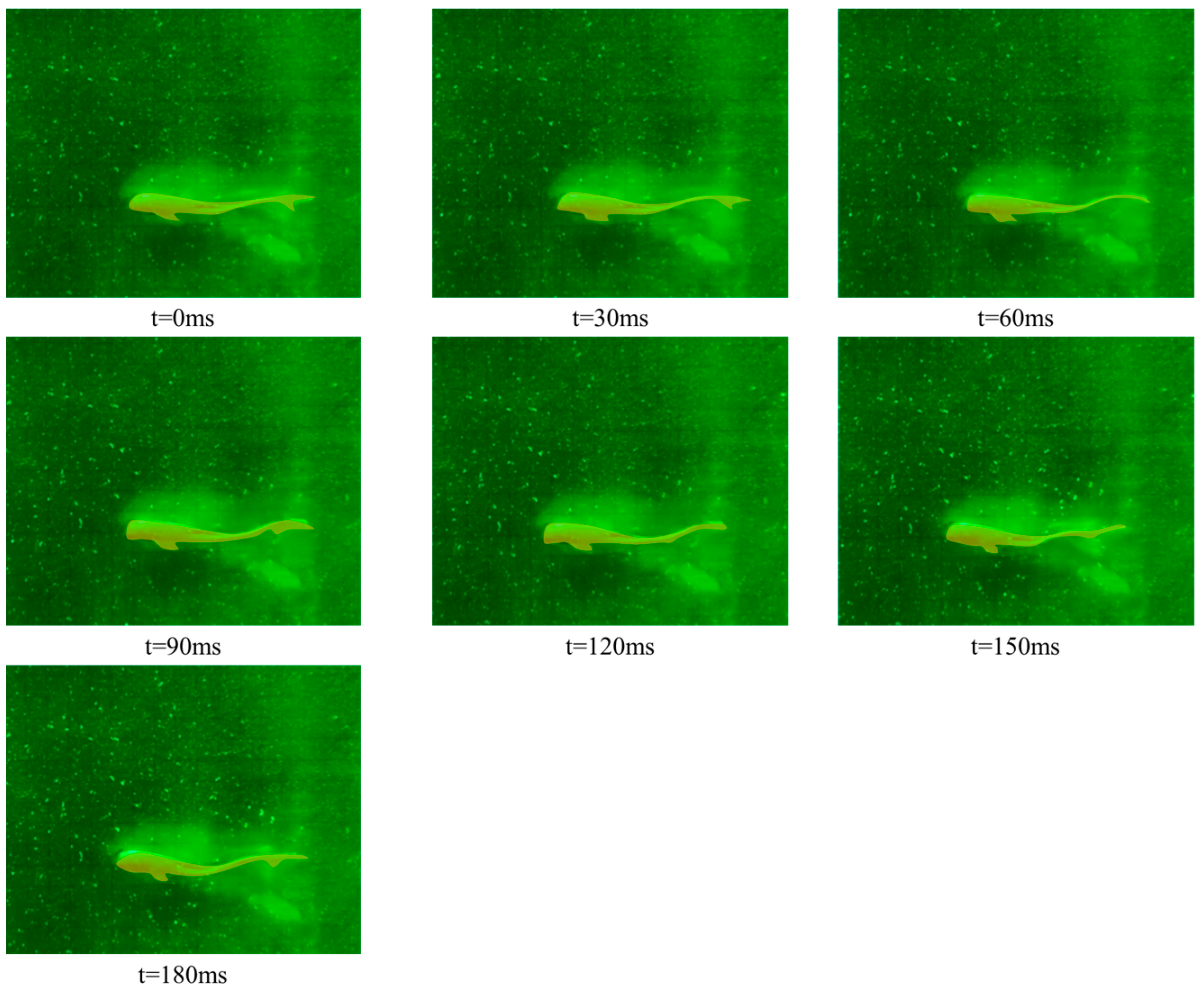 Fishes 09 00365 g006