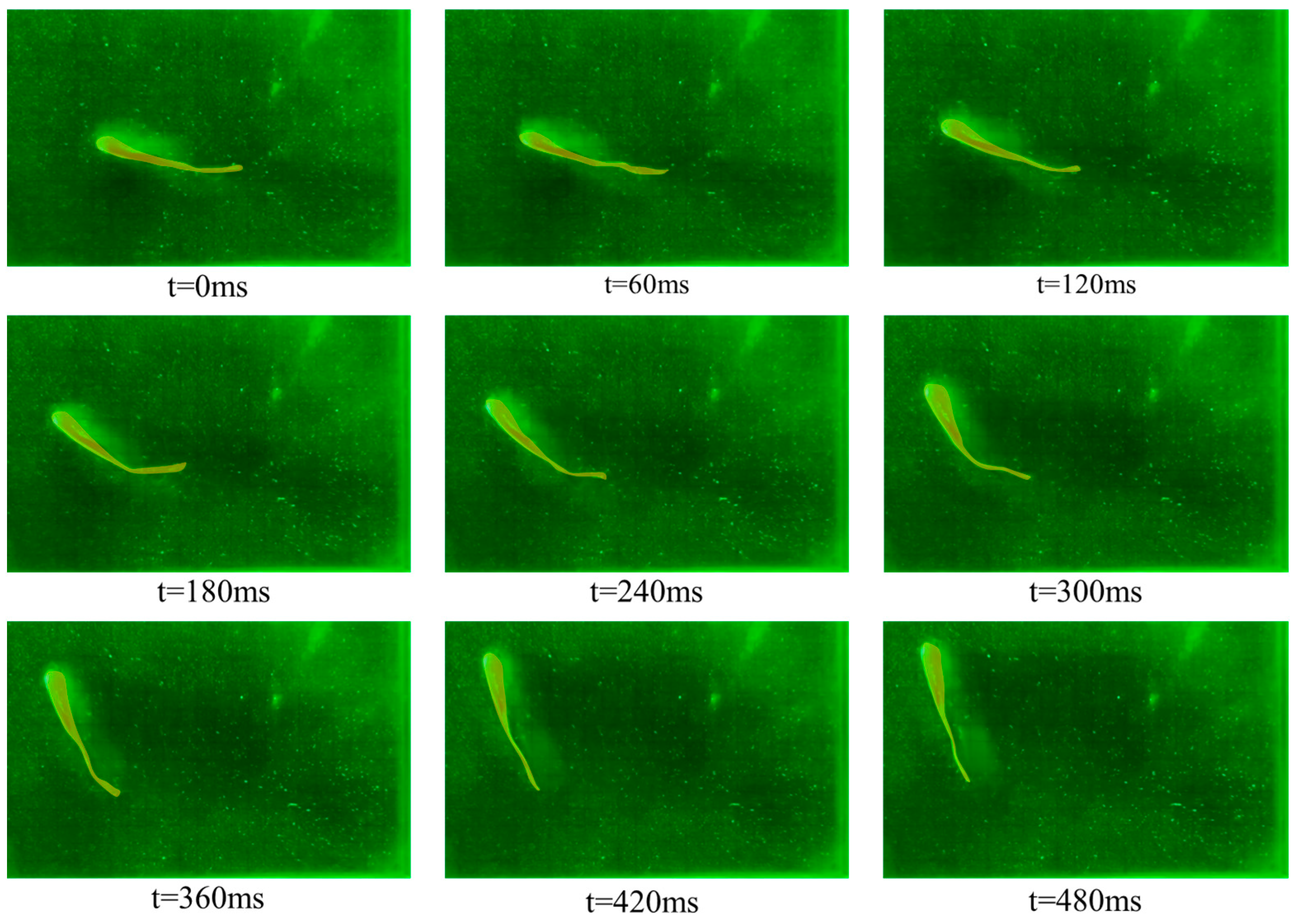 Fishes 09 00365 g007