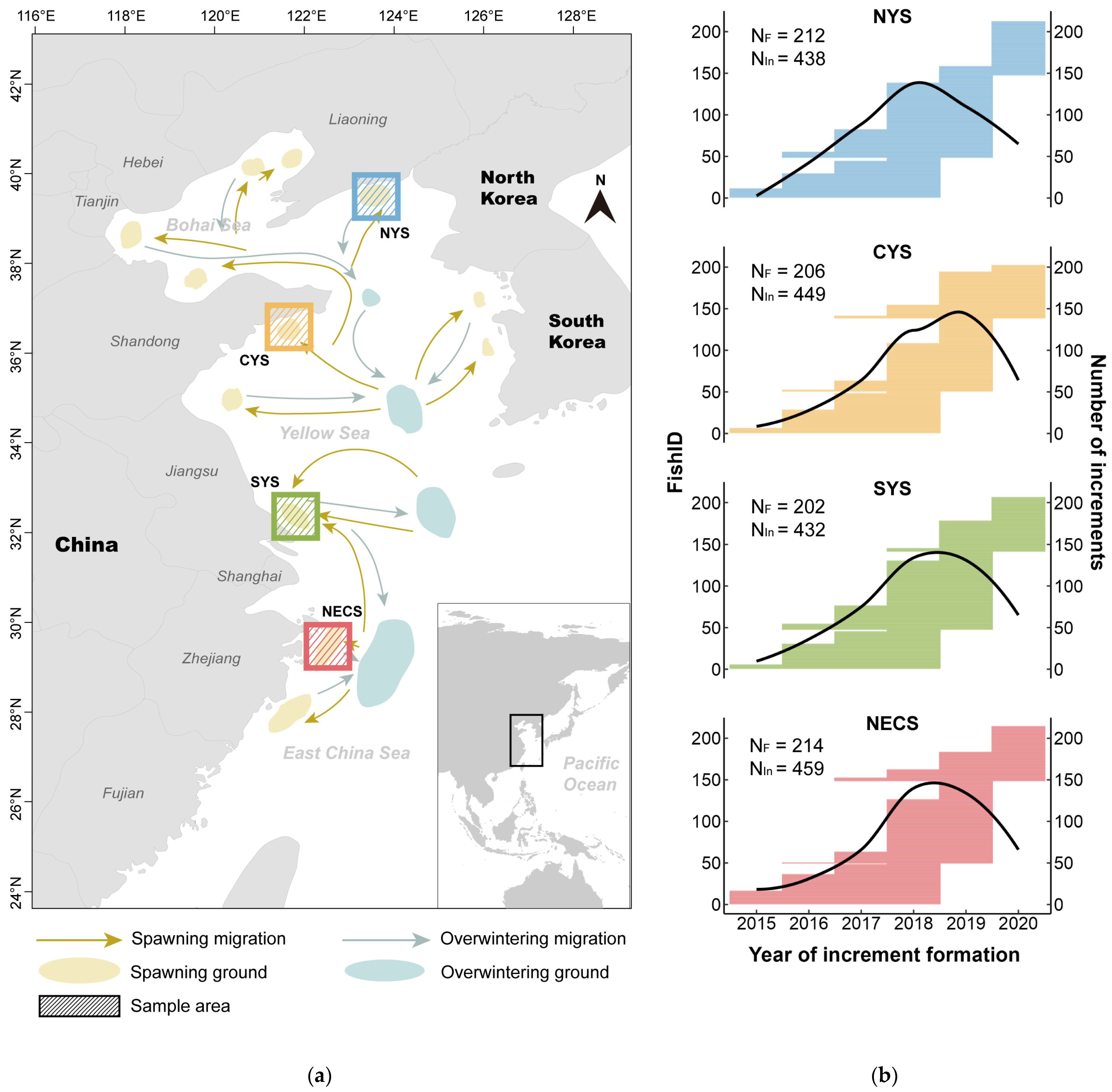 Fishes 09 00367 g001