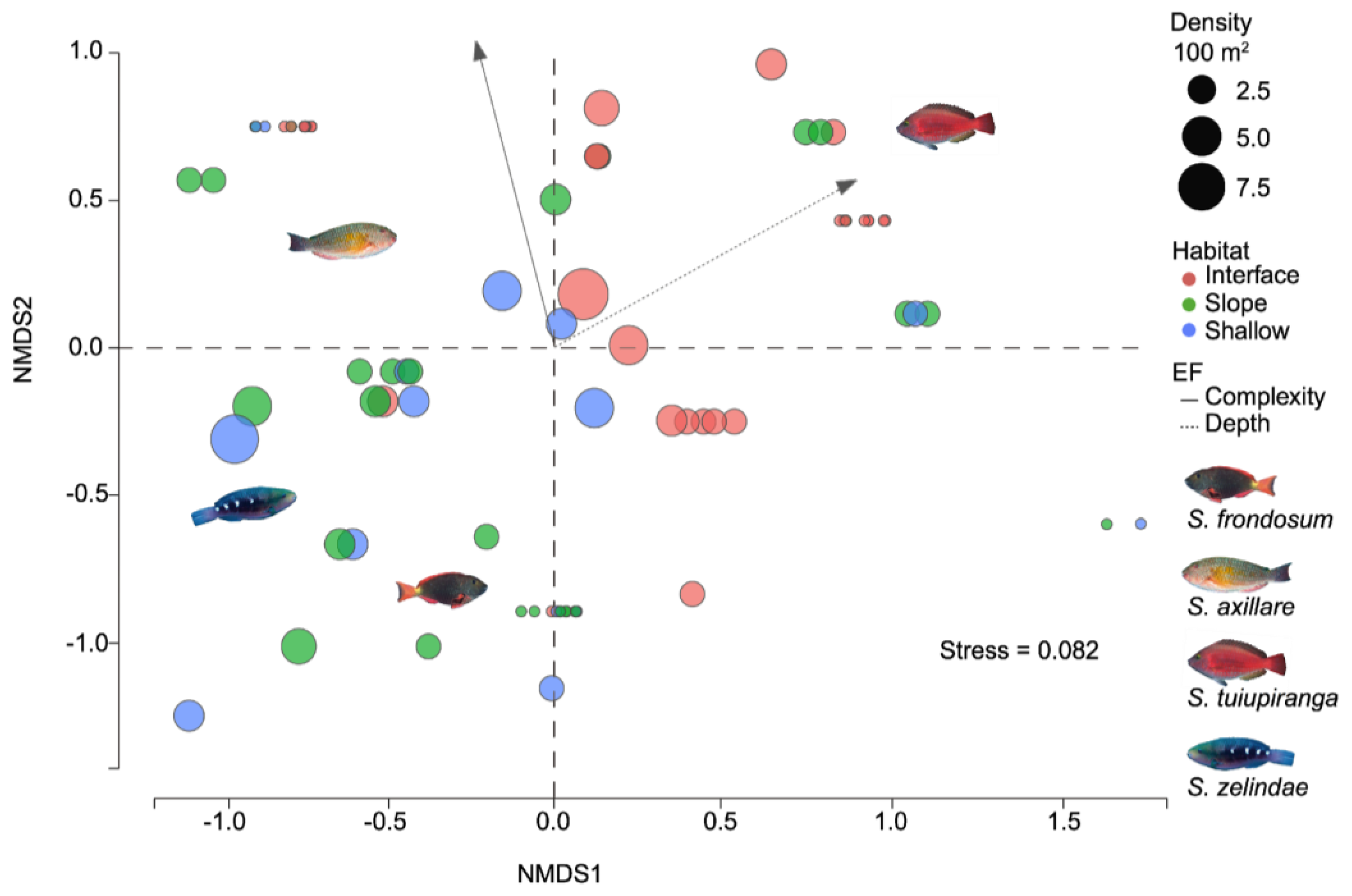 Fishes 09 00370 g004
