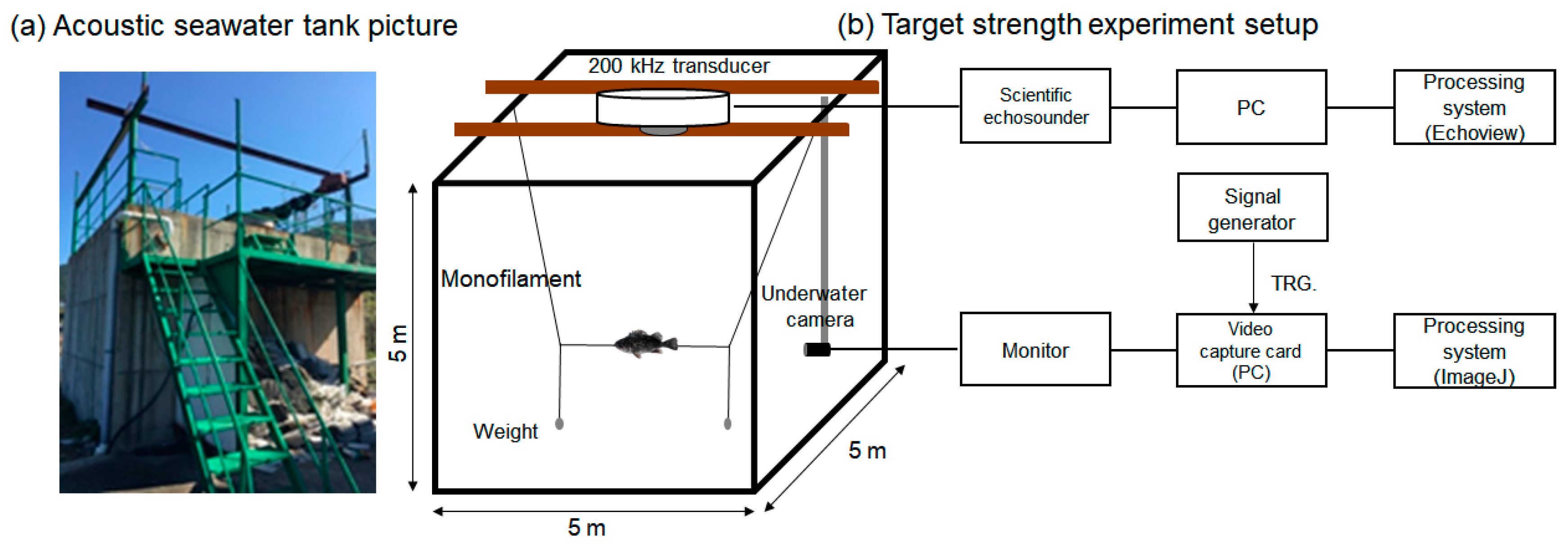 Fishes 09 00371 g001