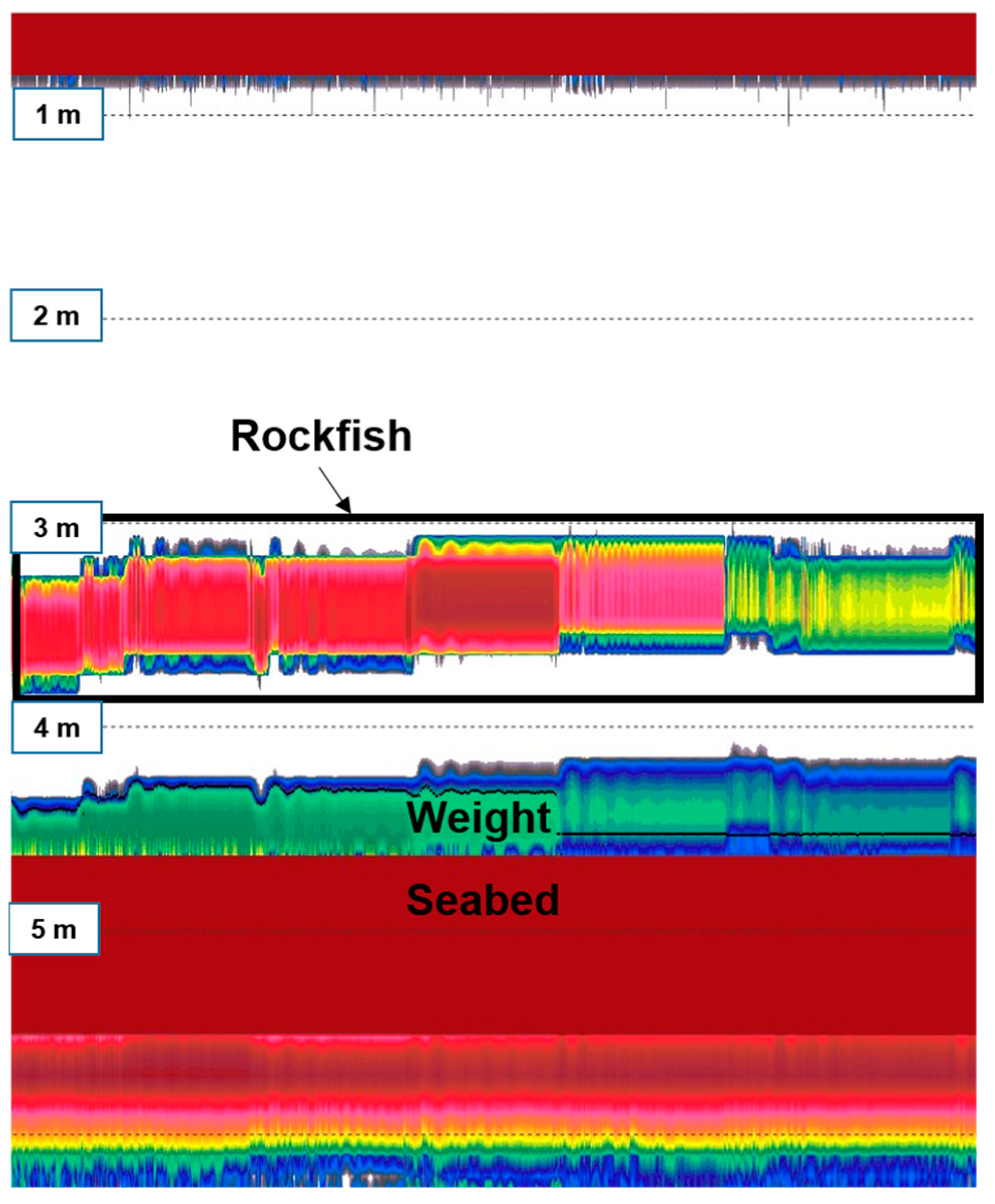 Fishes 09 00371 g002