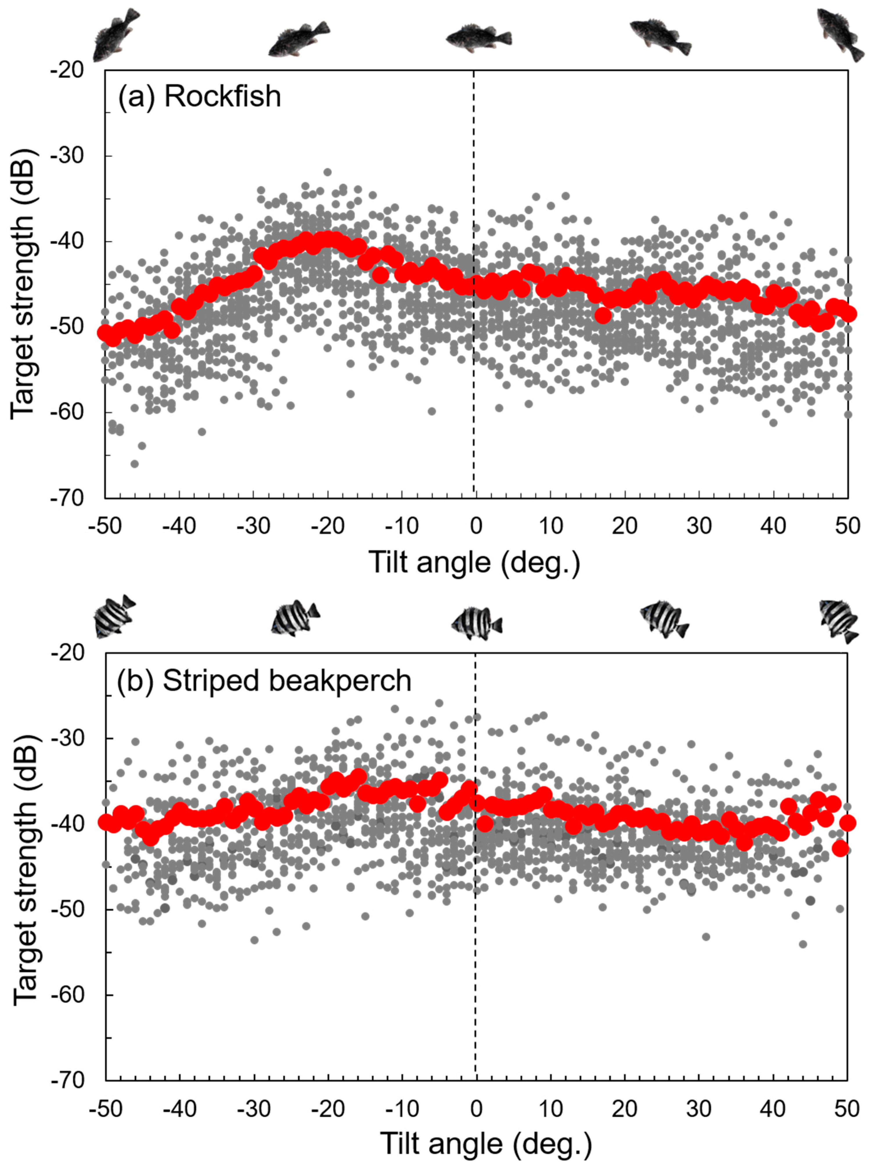 Fishes 09 00371 g005