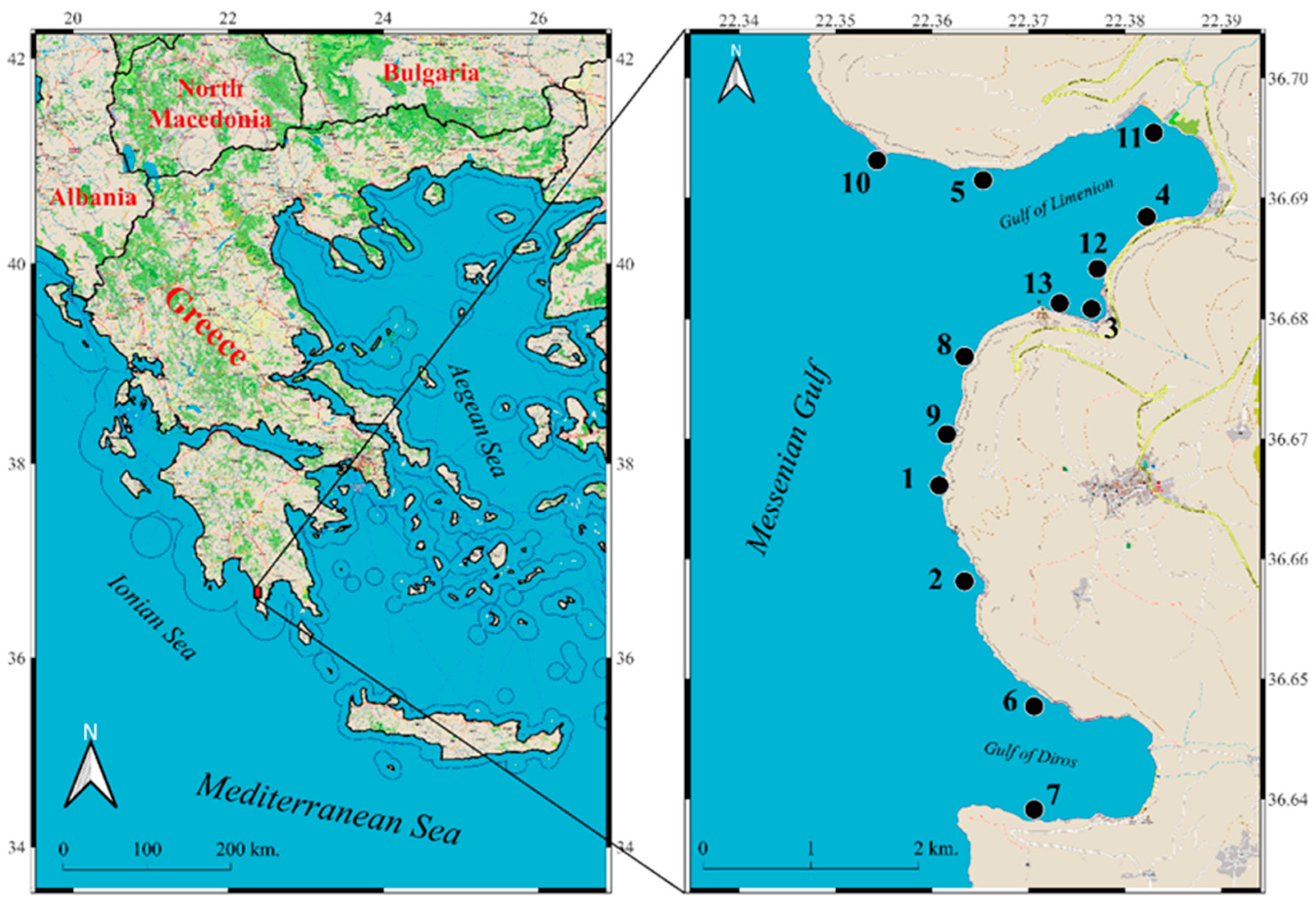 Feeding Strategies and Biological Traits of the Lessepsian Migrant Pterois miles Bennett 1828 in the Messenian Gulf SW Greece
