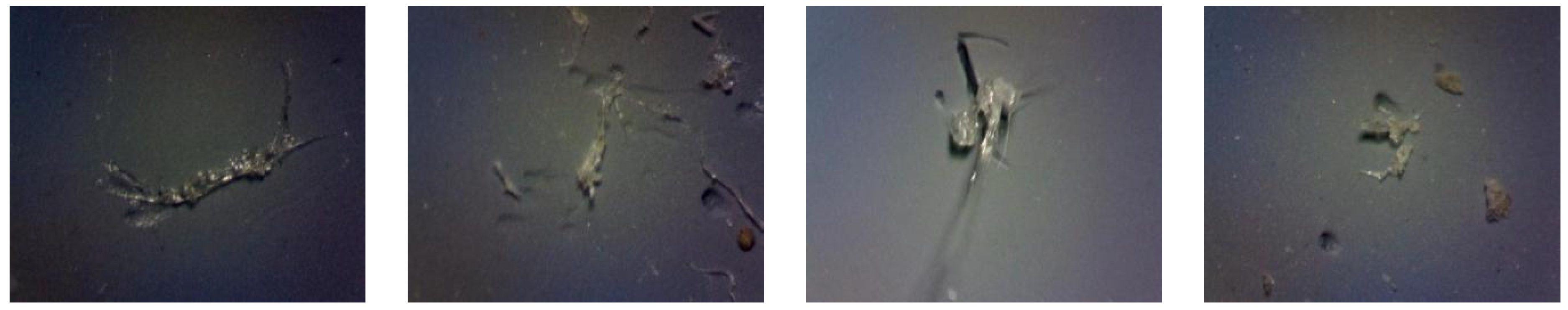 Fishes 09 00385 g002