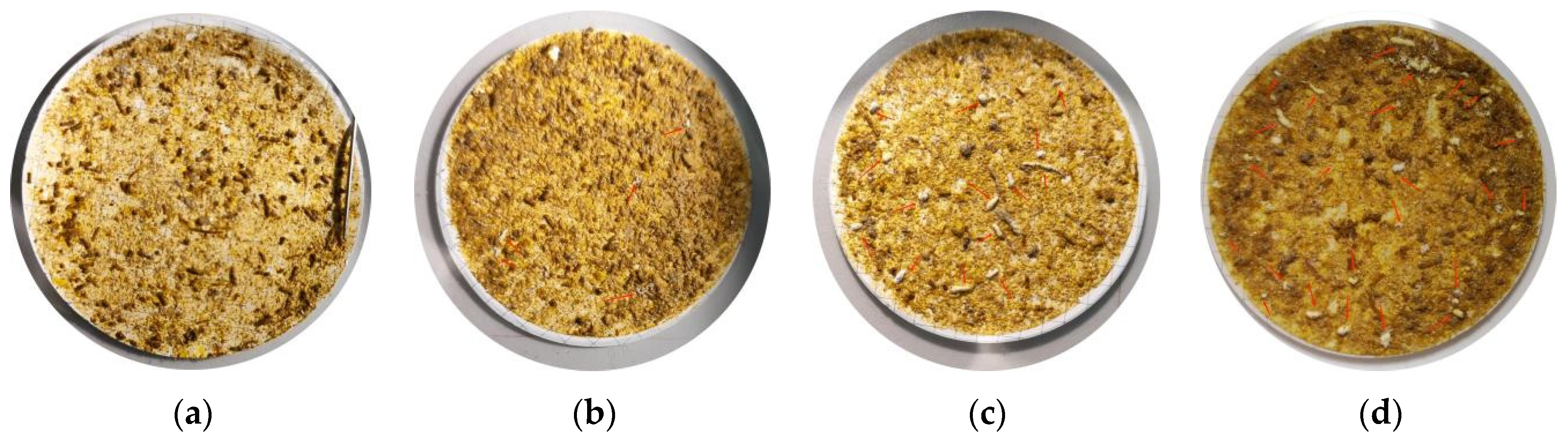 Fishes 09 00385 g004