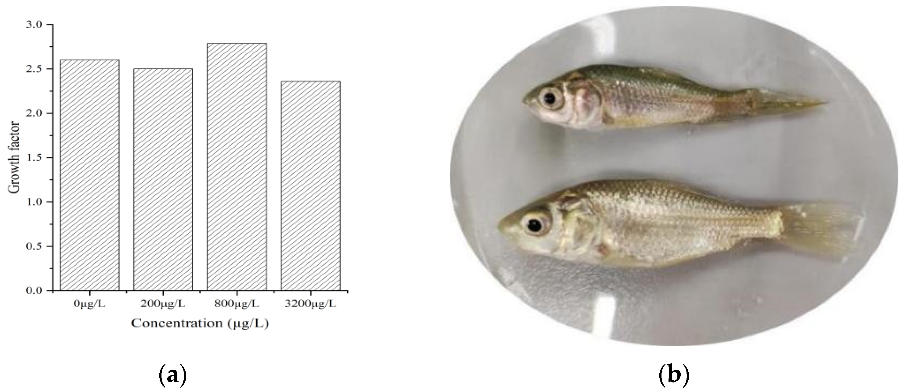 Fishes 09 00385 g006