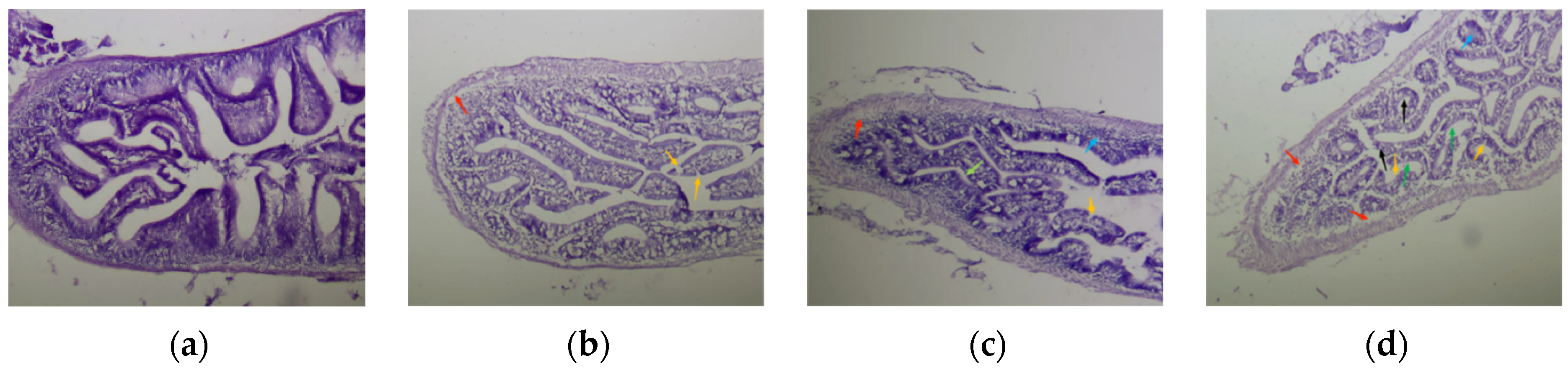 Fishes 09 00385 g007