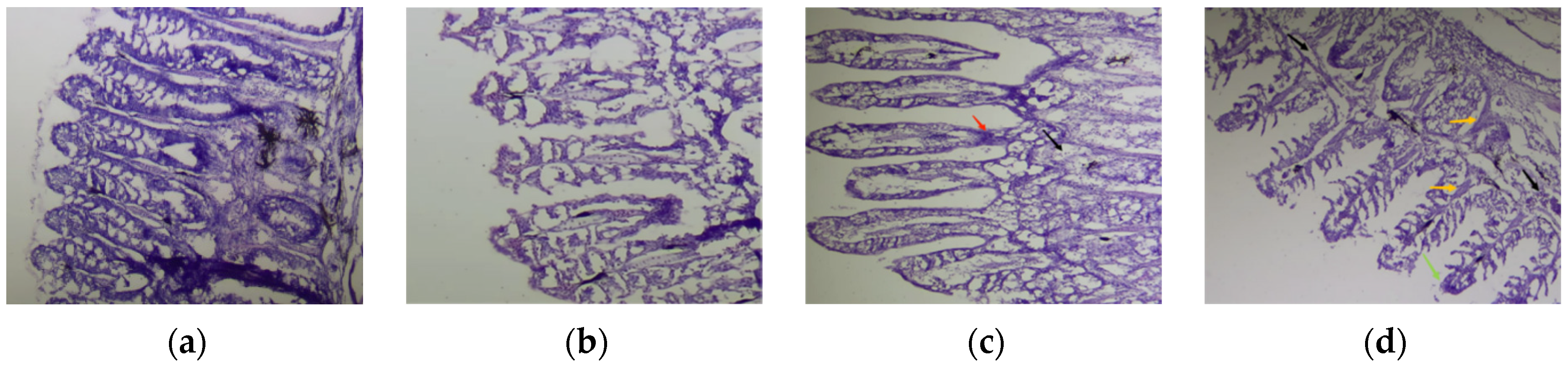 Fishes 09 00385 g008