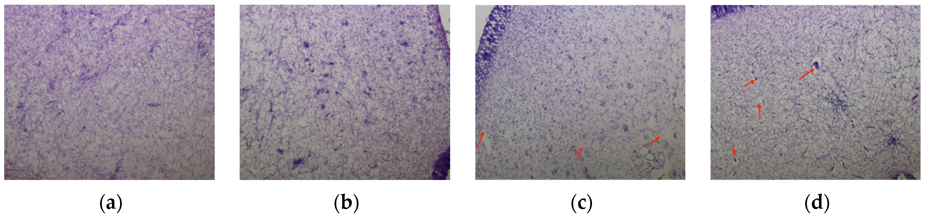 Fishes 09 00385 g009