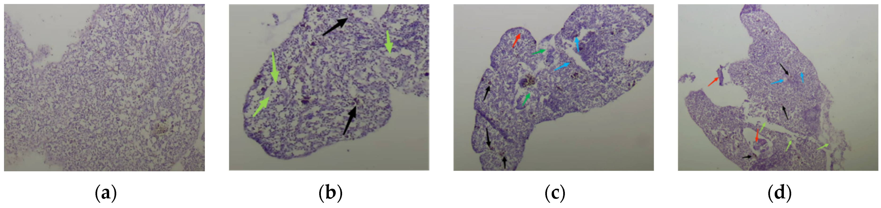 Fishes 09 00385 g010