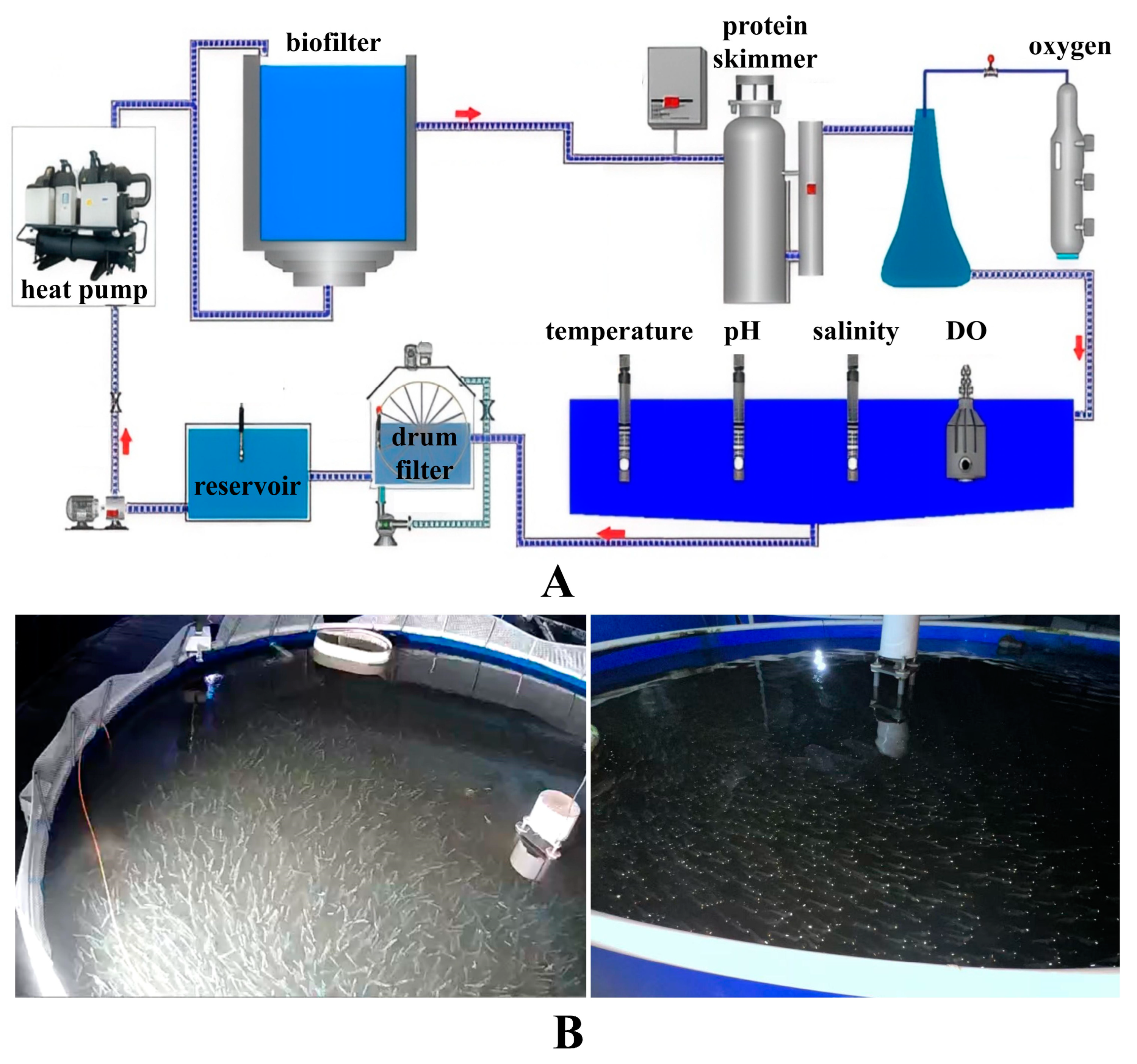 Fishes 09 00386 g001