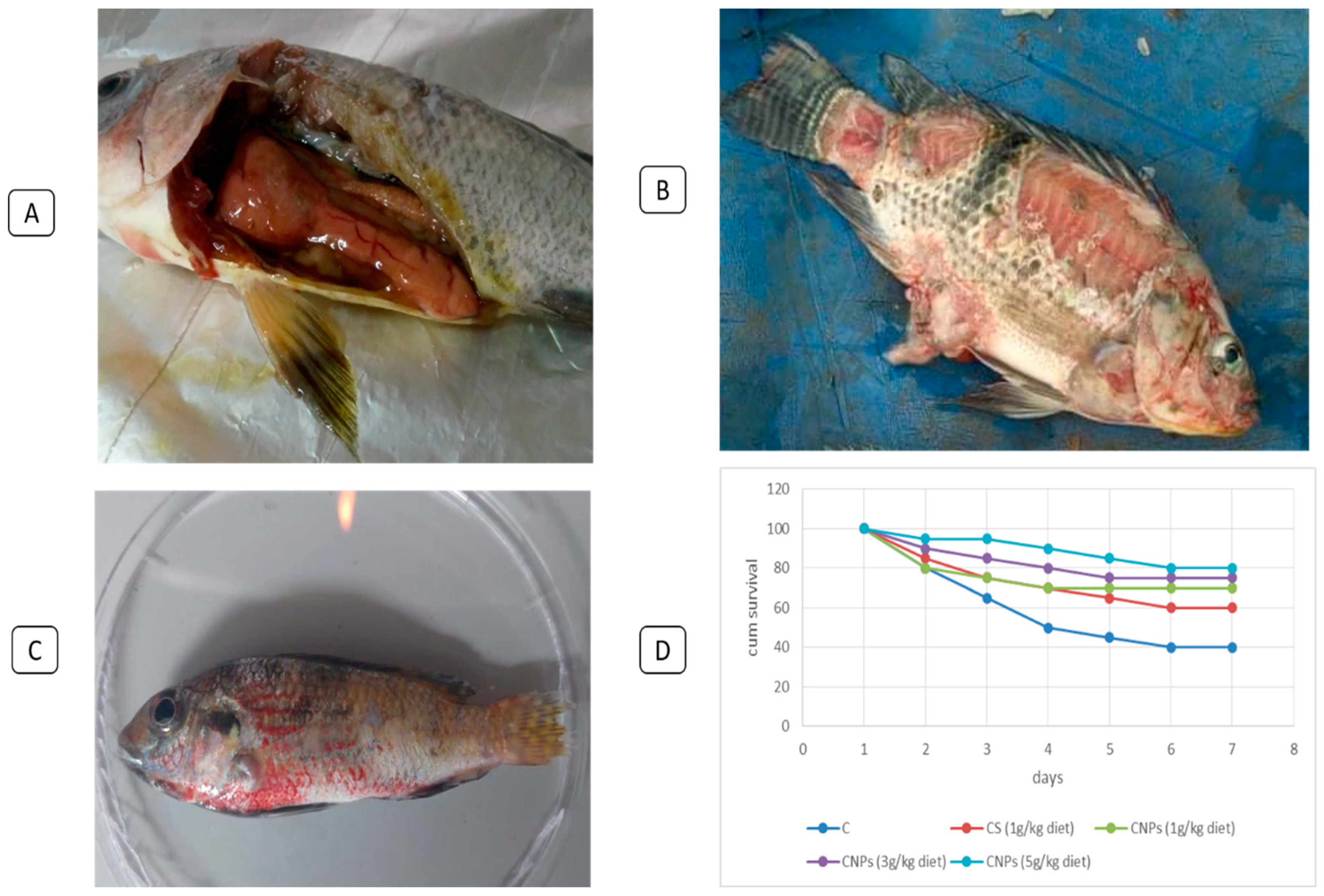 Fishes 09 00388 g006