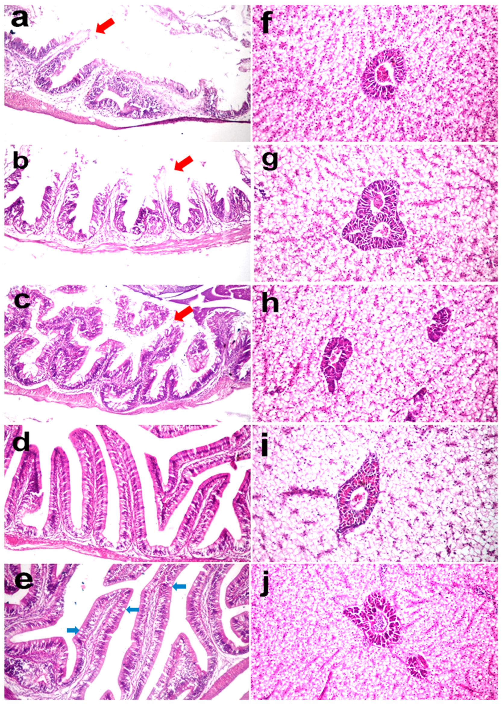 Fishes 09 00388 g007