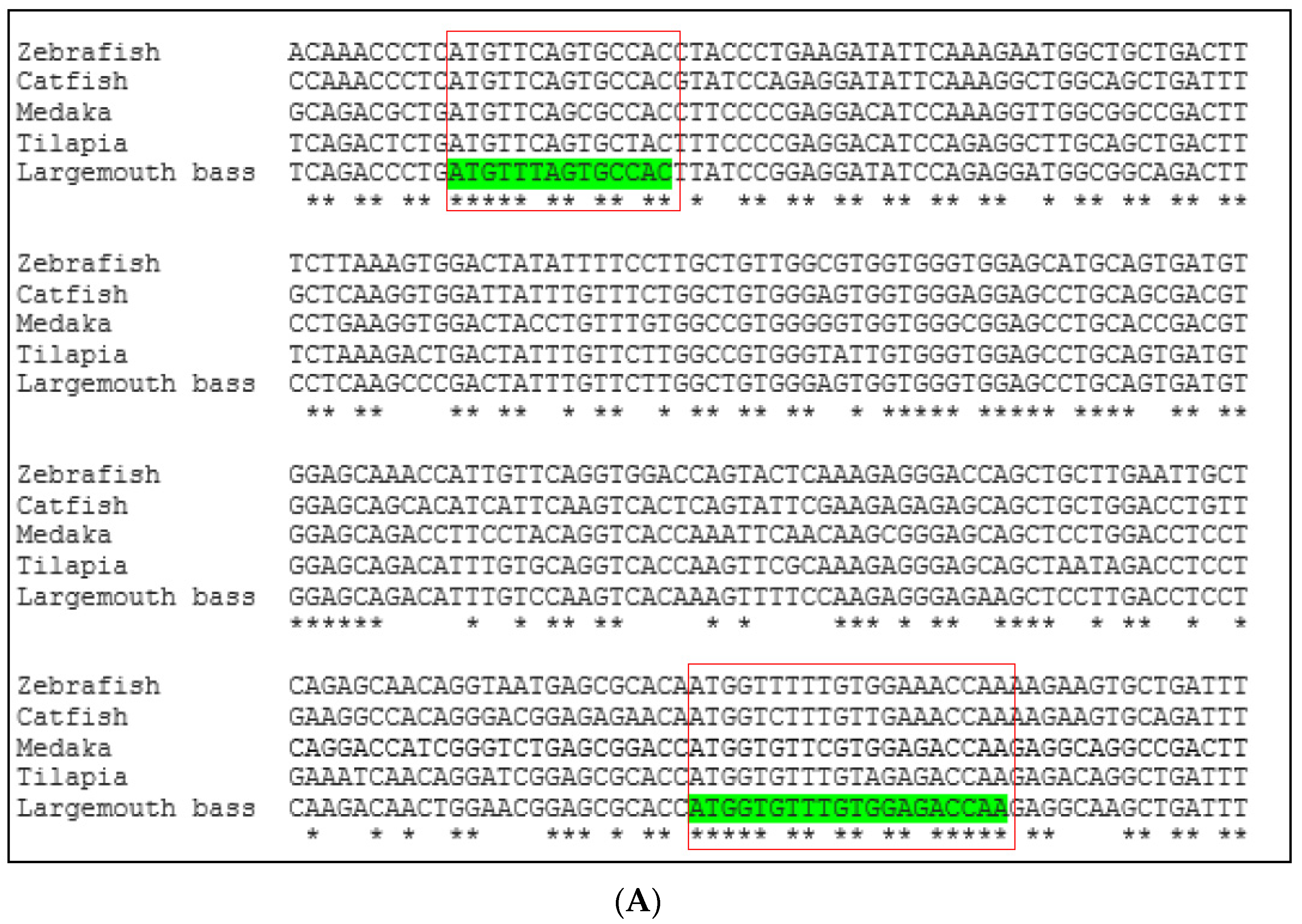 Fishes 09 00394 g001a