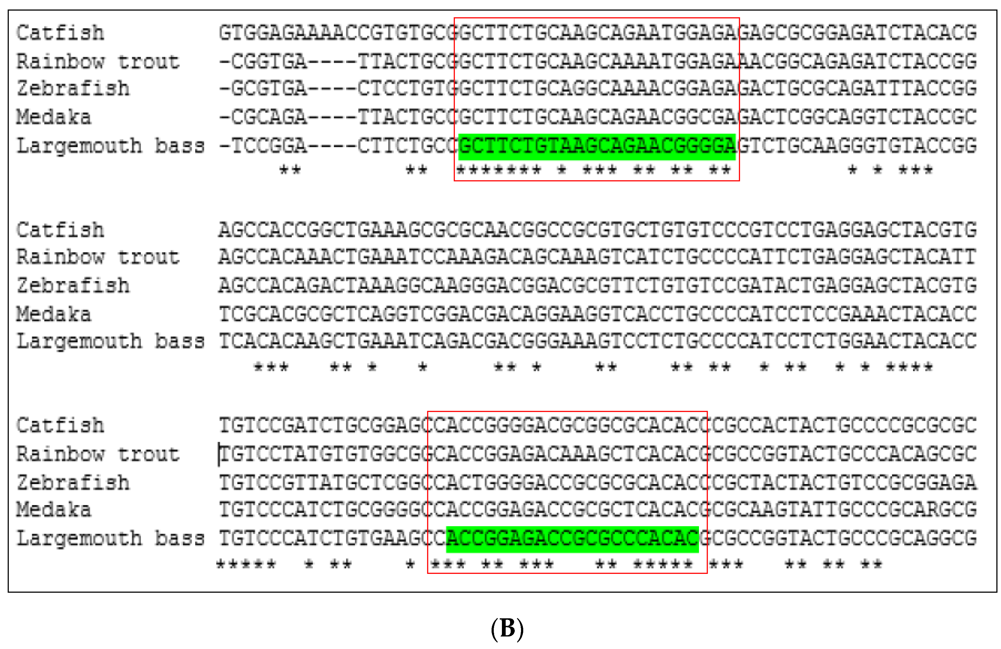 Fishes 09 00394 g001b