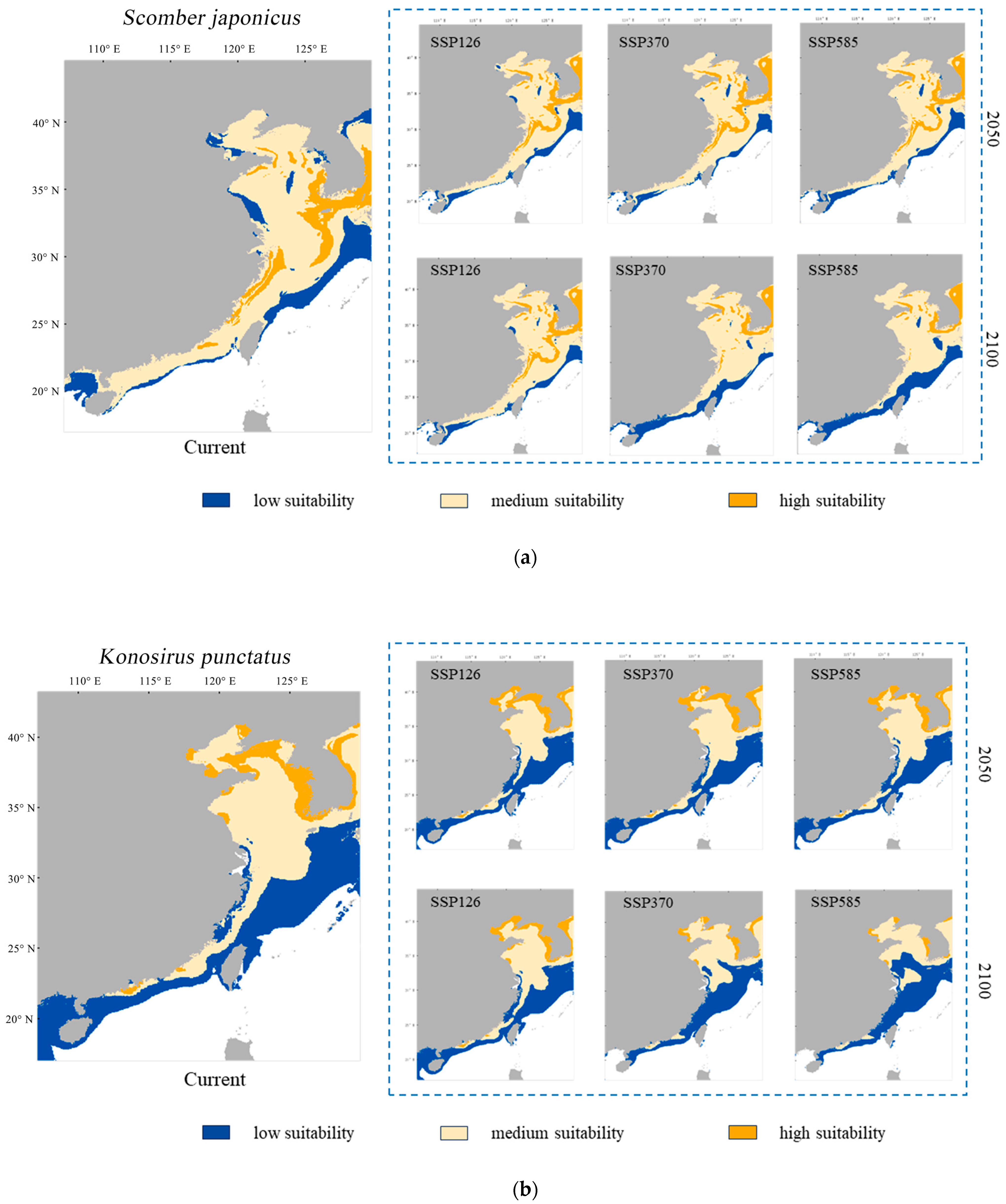 Fishes 09 00395 g004