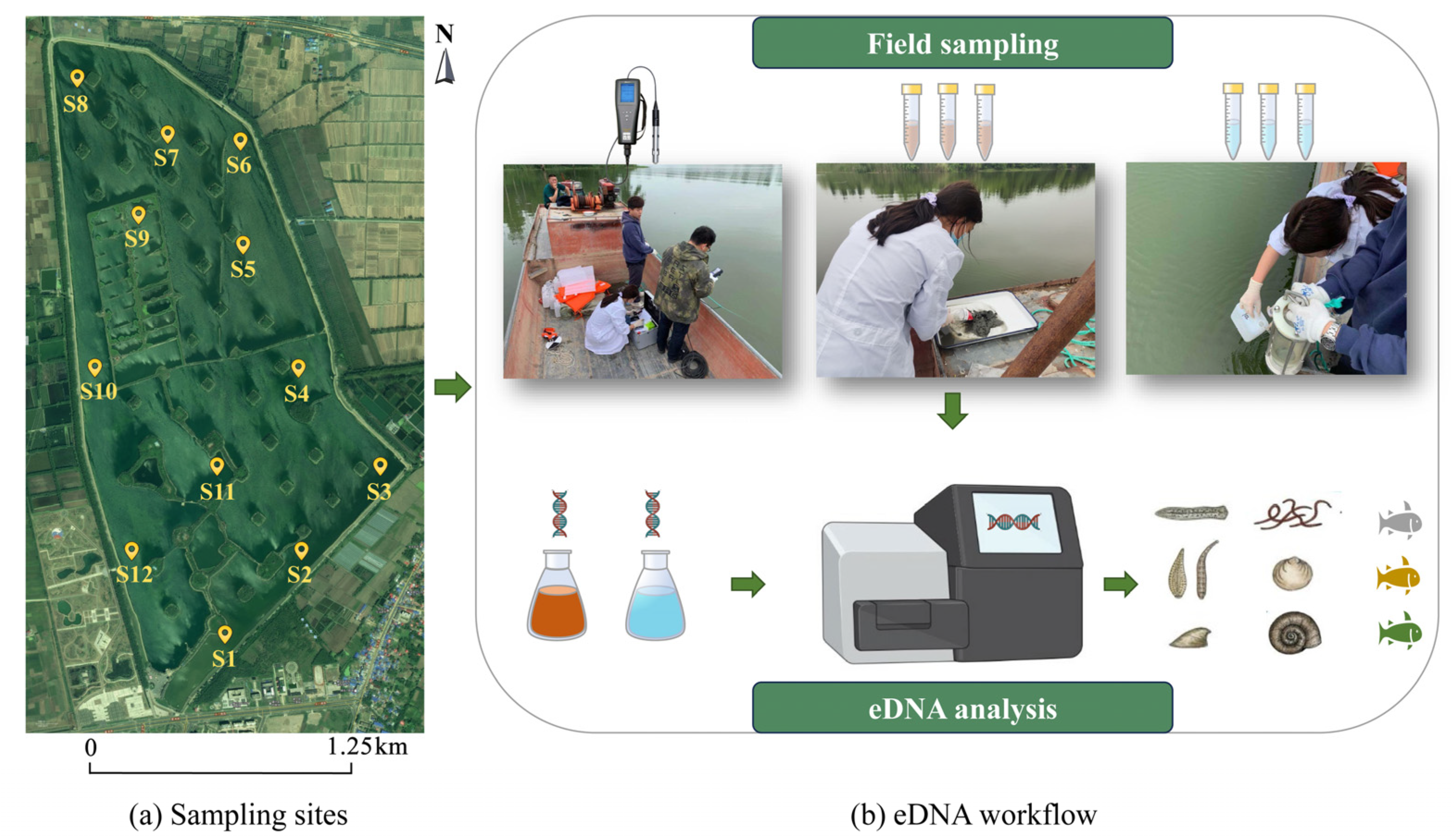 Fishes 09 00396 g001