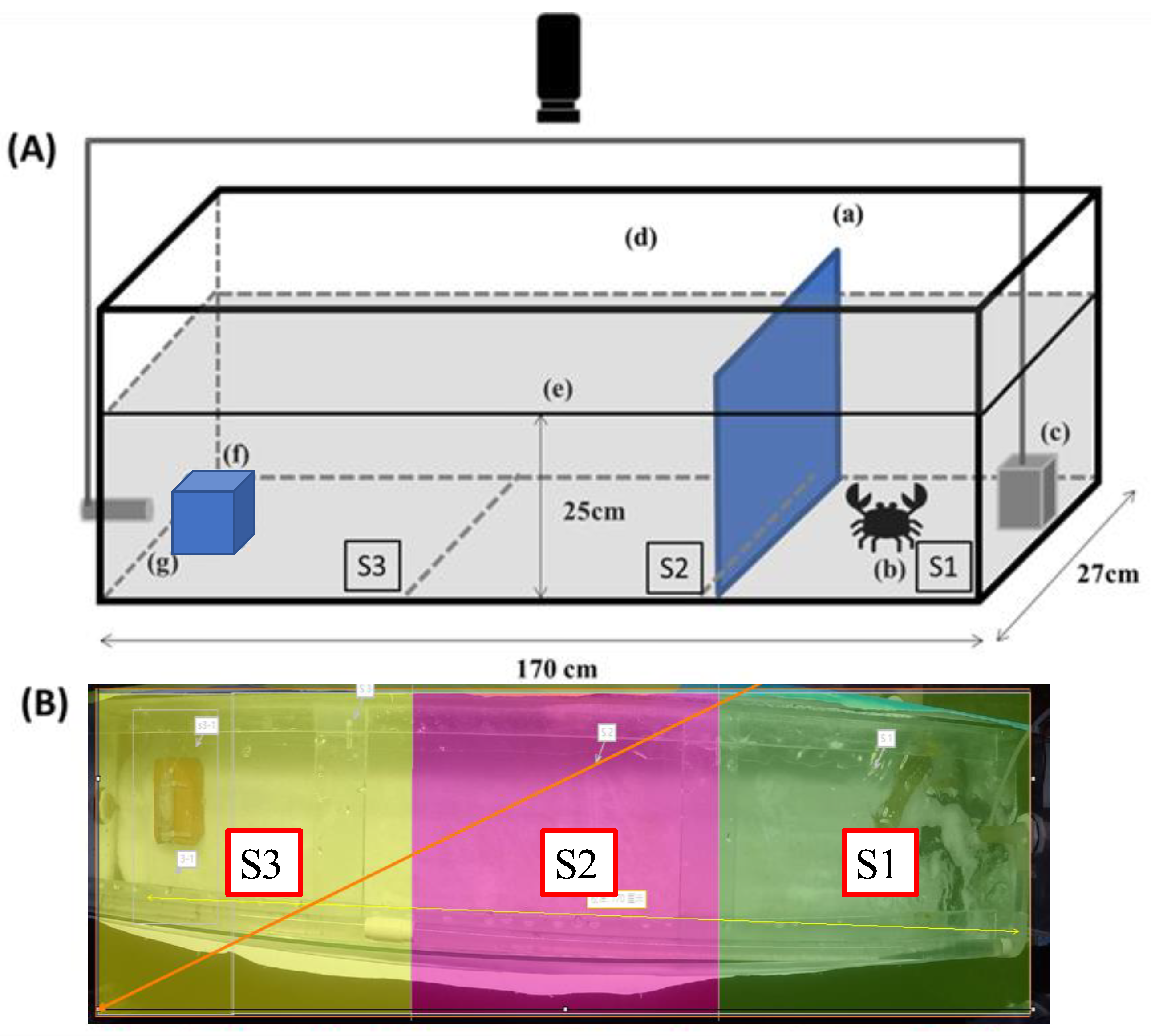 Fishes 09 00400 g001 Fishes 09 00400 g001