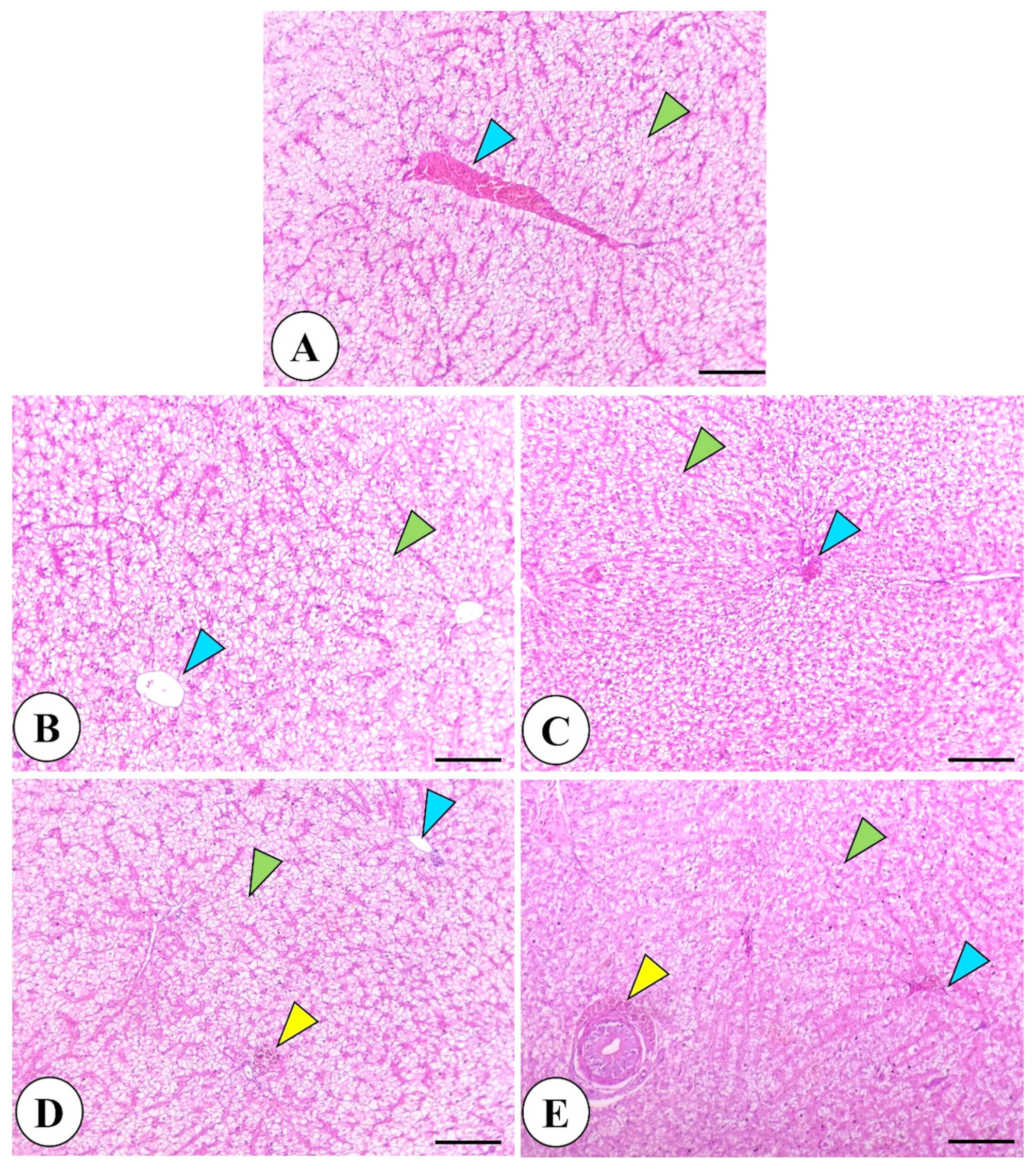 Fishes 09 00401 g002 Fishes 09 00401 g002