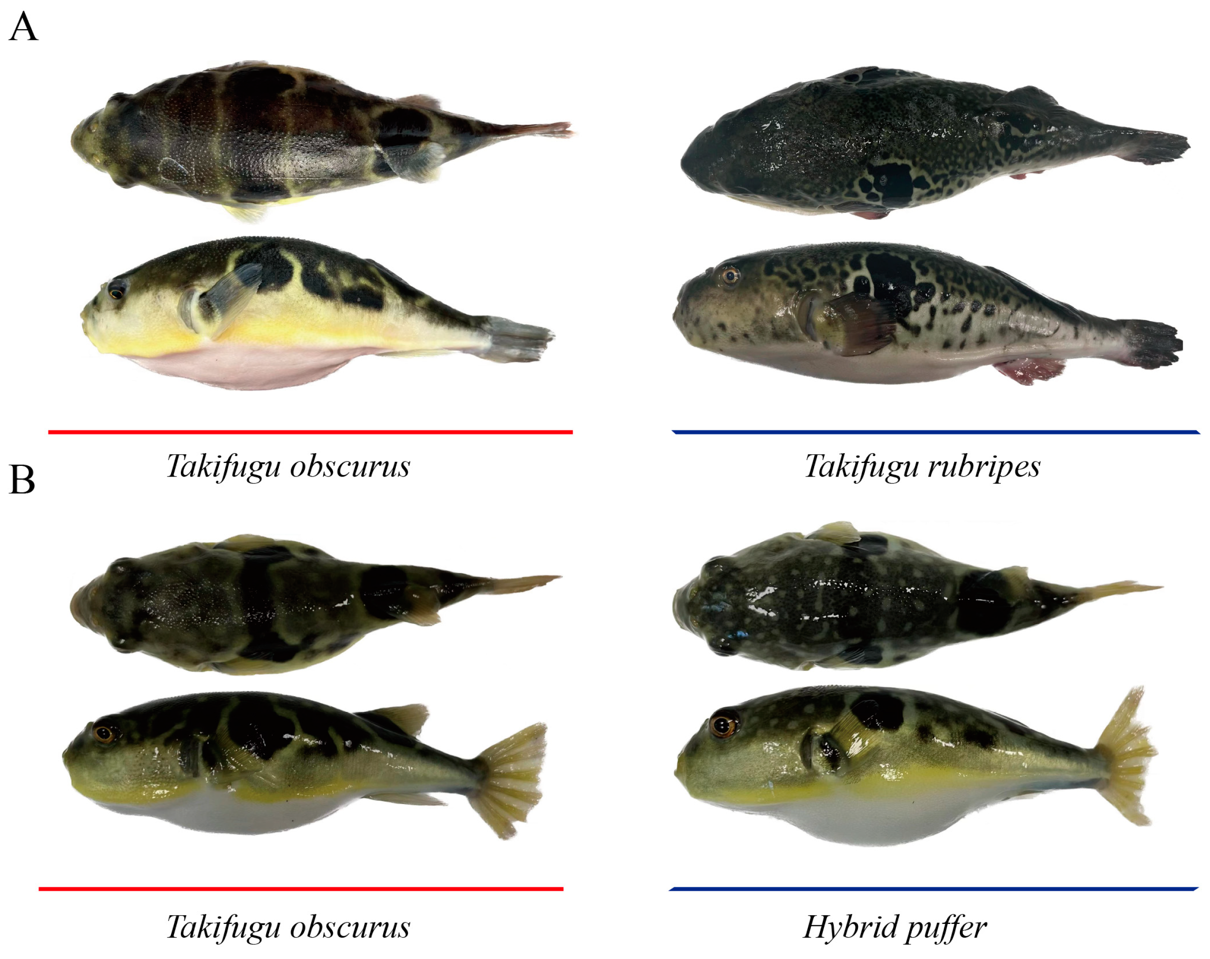 Fishes 09 00404 g001