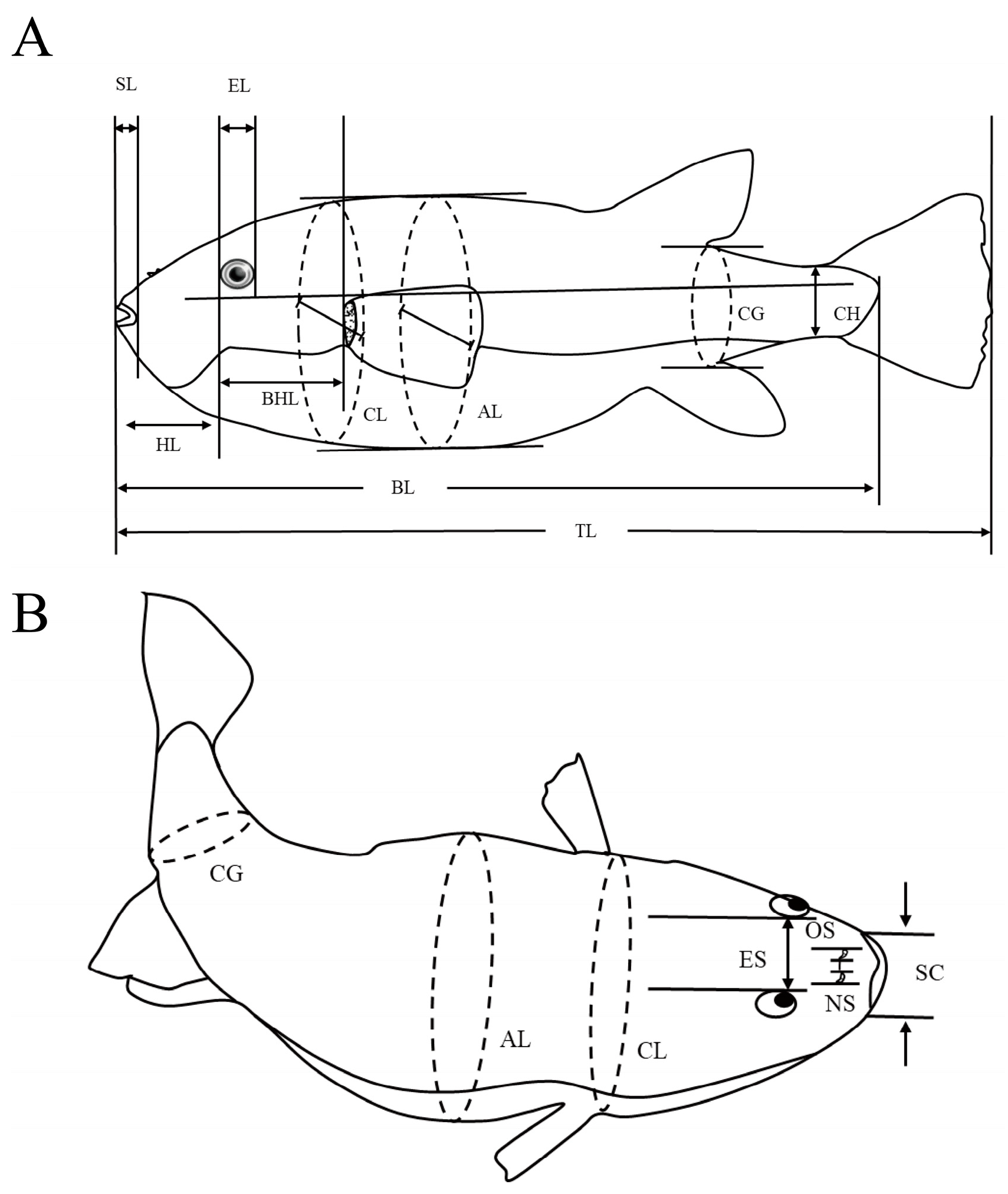 Fishes 09 00404 g002