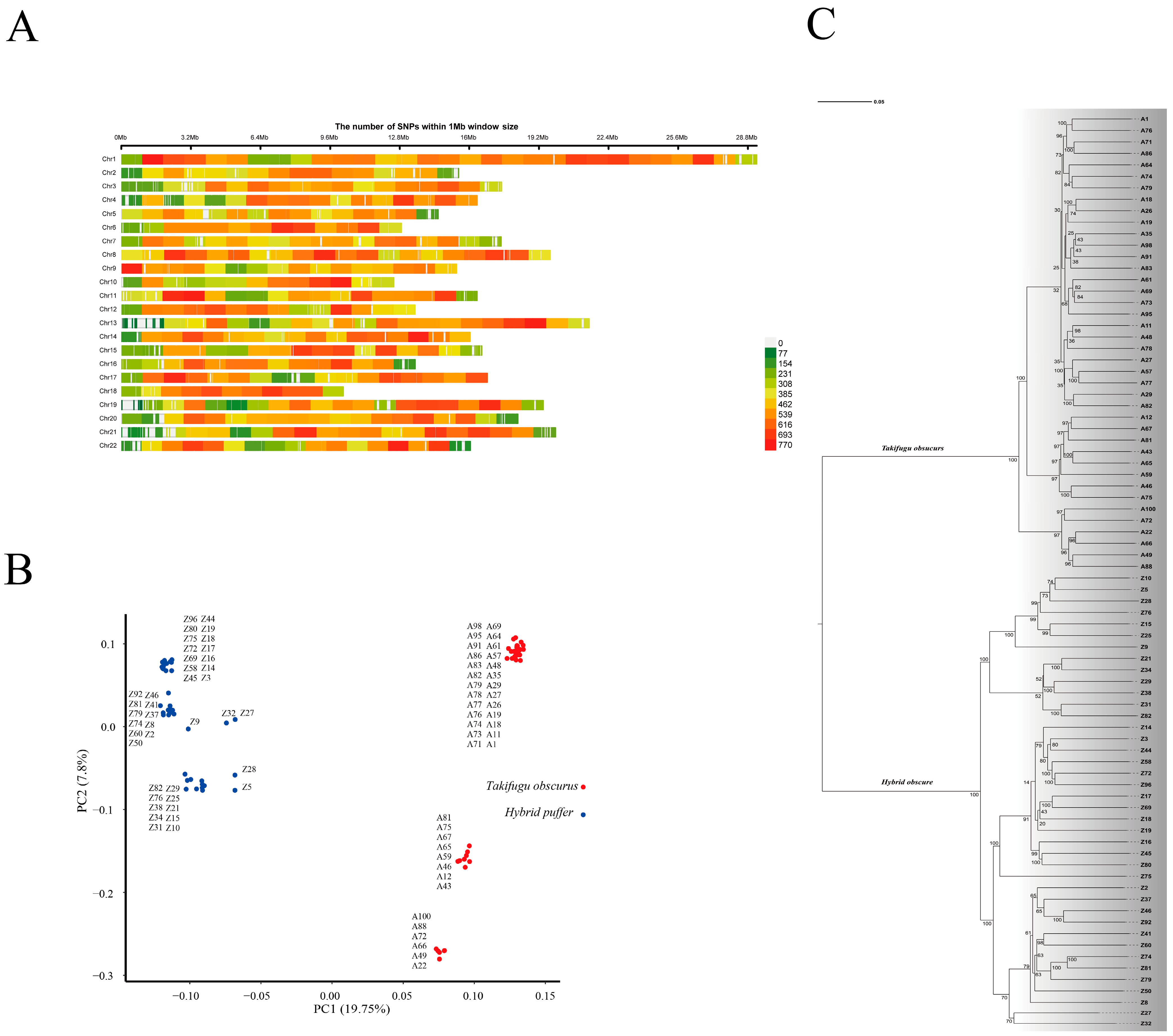 Fishes 09 00404 g006