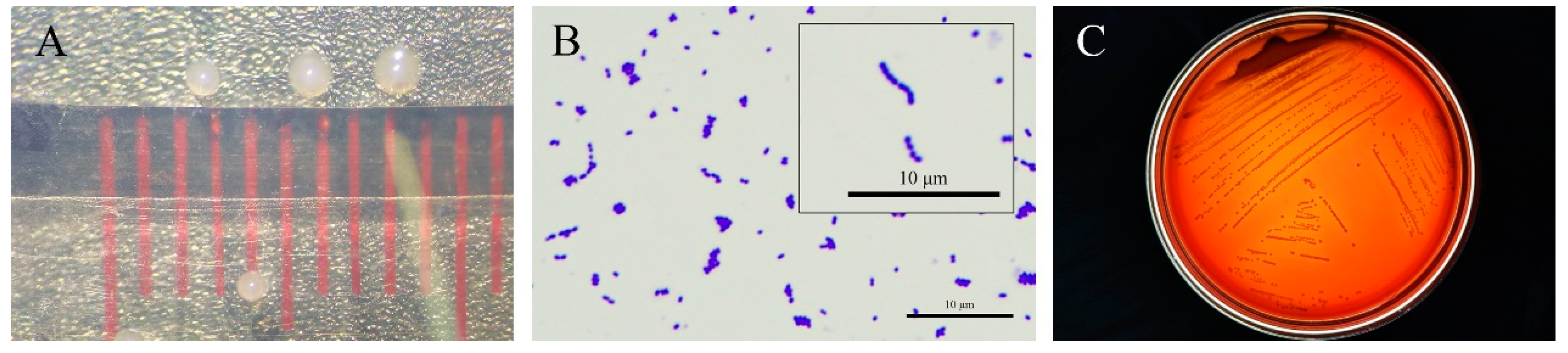 Fishes 09 00406 g003