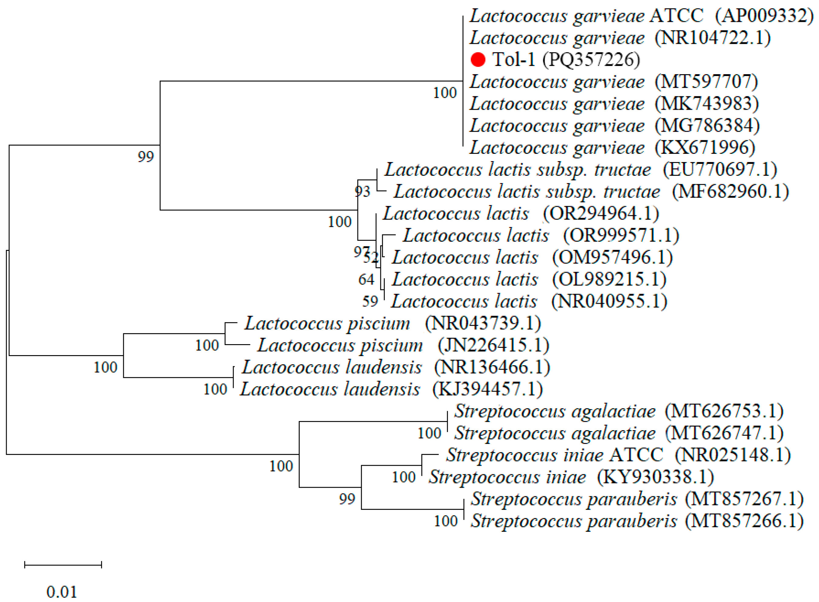 Fishes 09 00406 g004