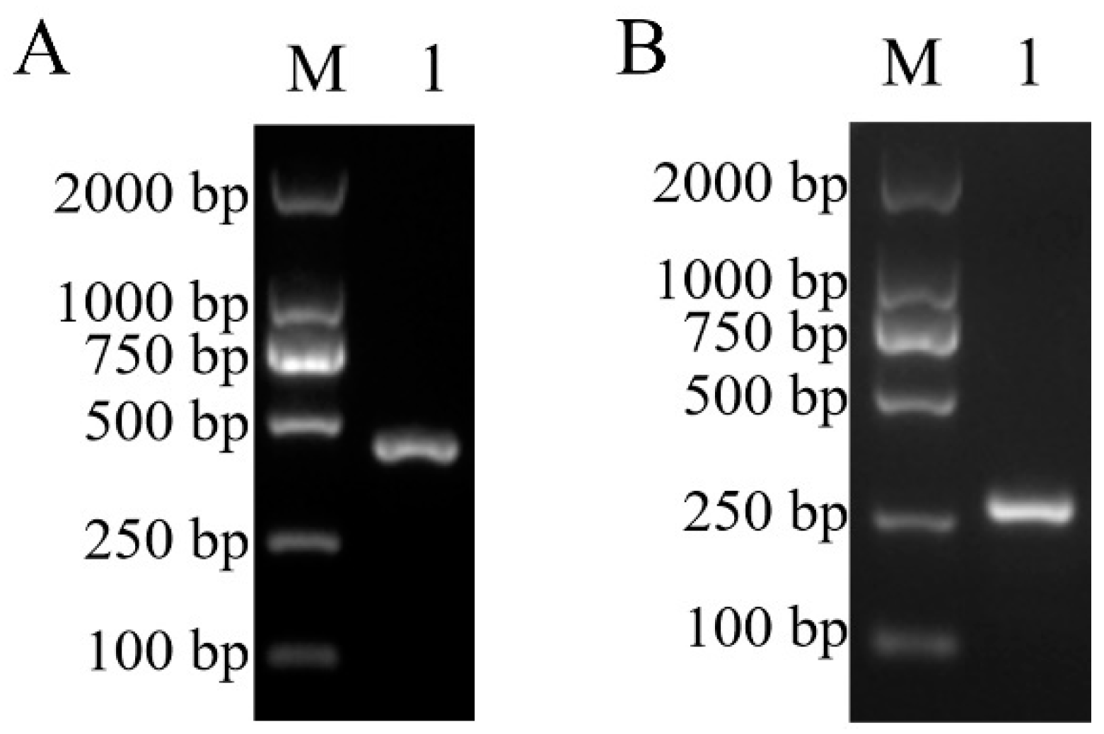 Fishes 09 00406 g005