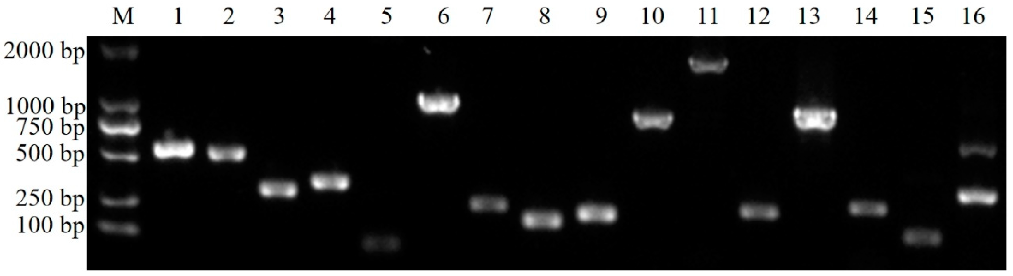 Fishes 09 00406 g006