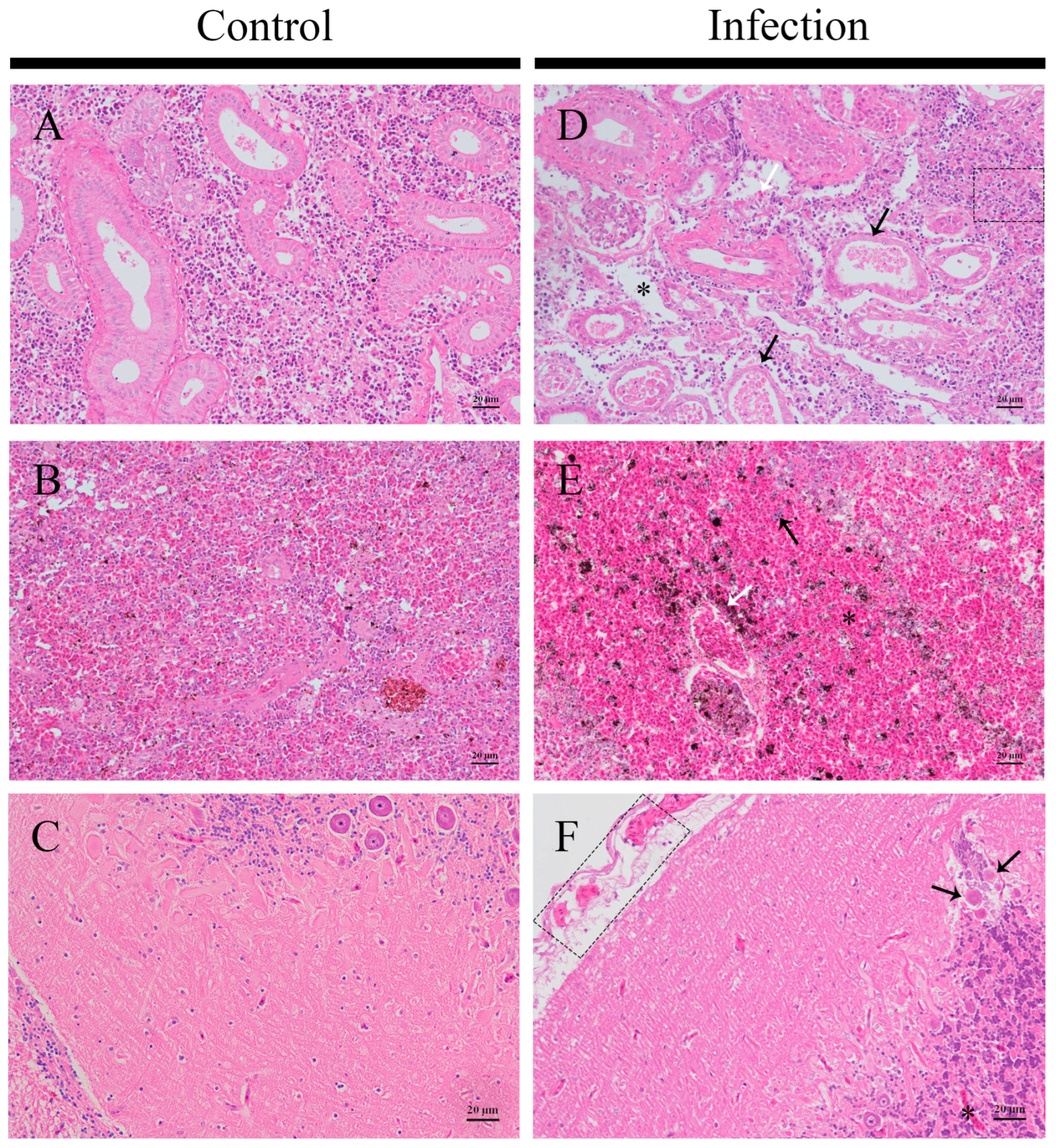 Fishes 09 00406 g008