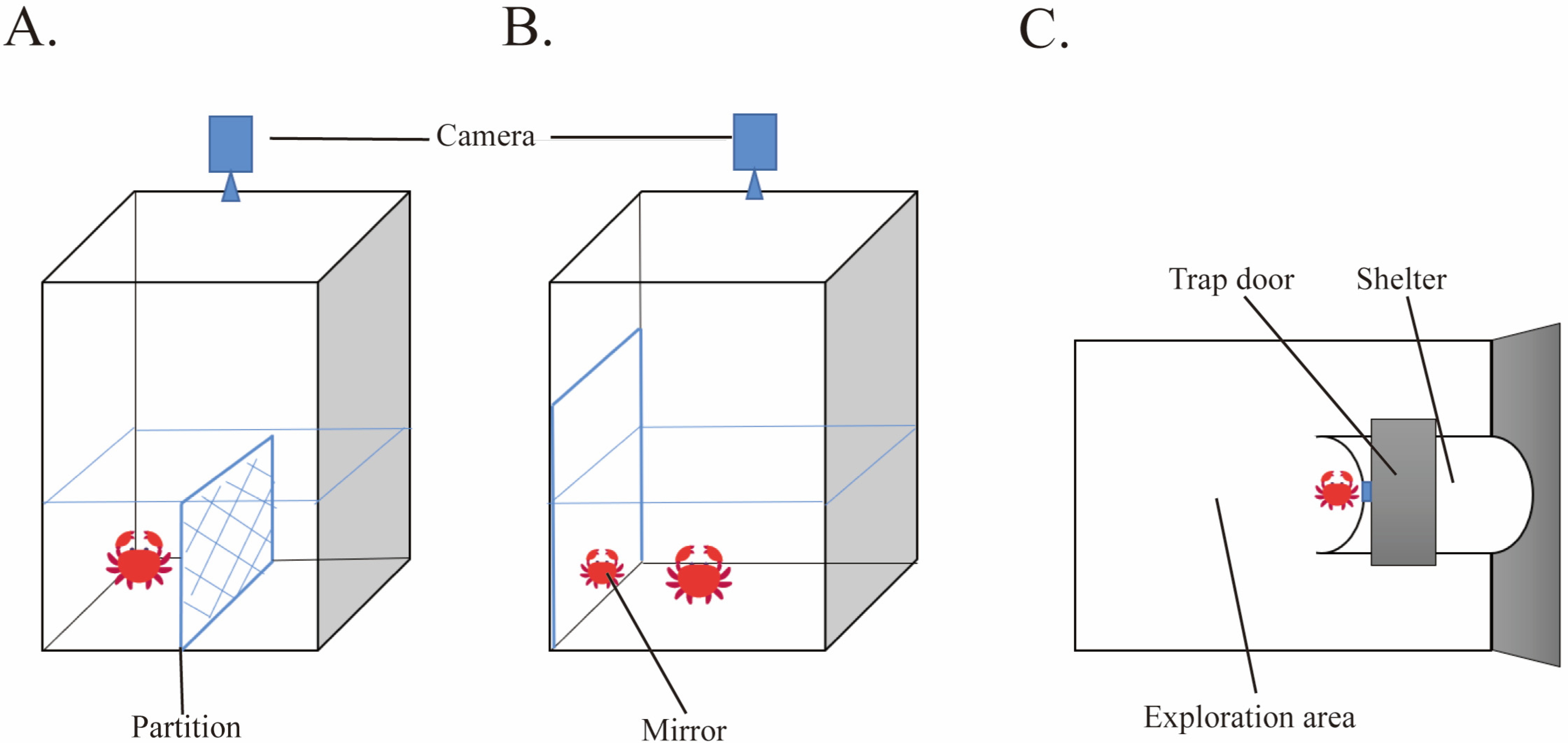 Fishes 09 00408 g001