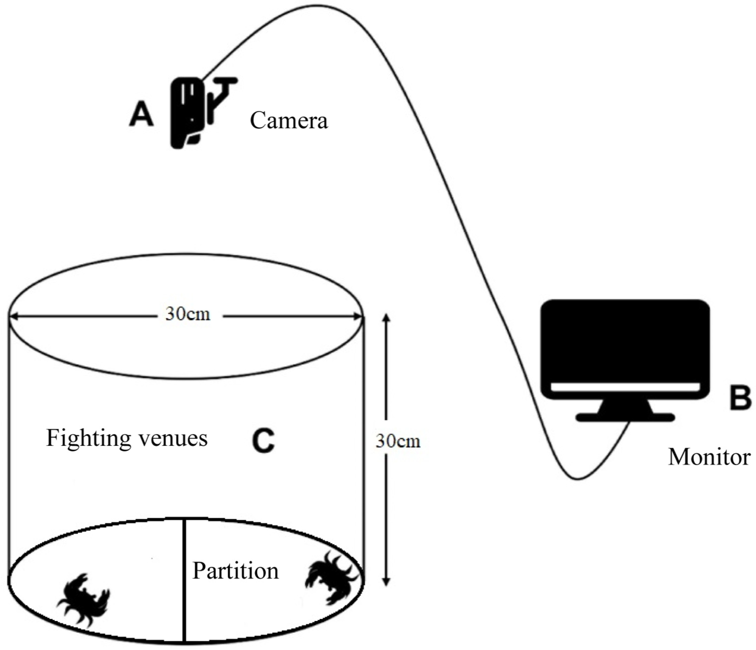 Fishes 09 00408 g002