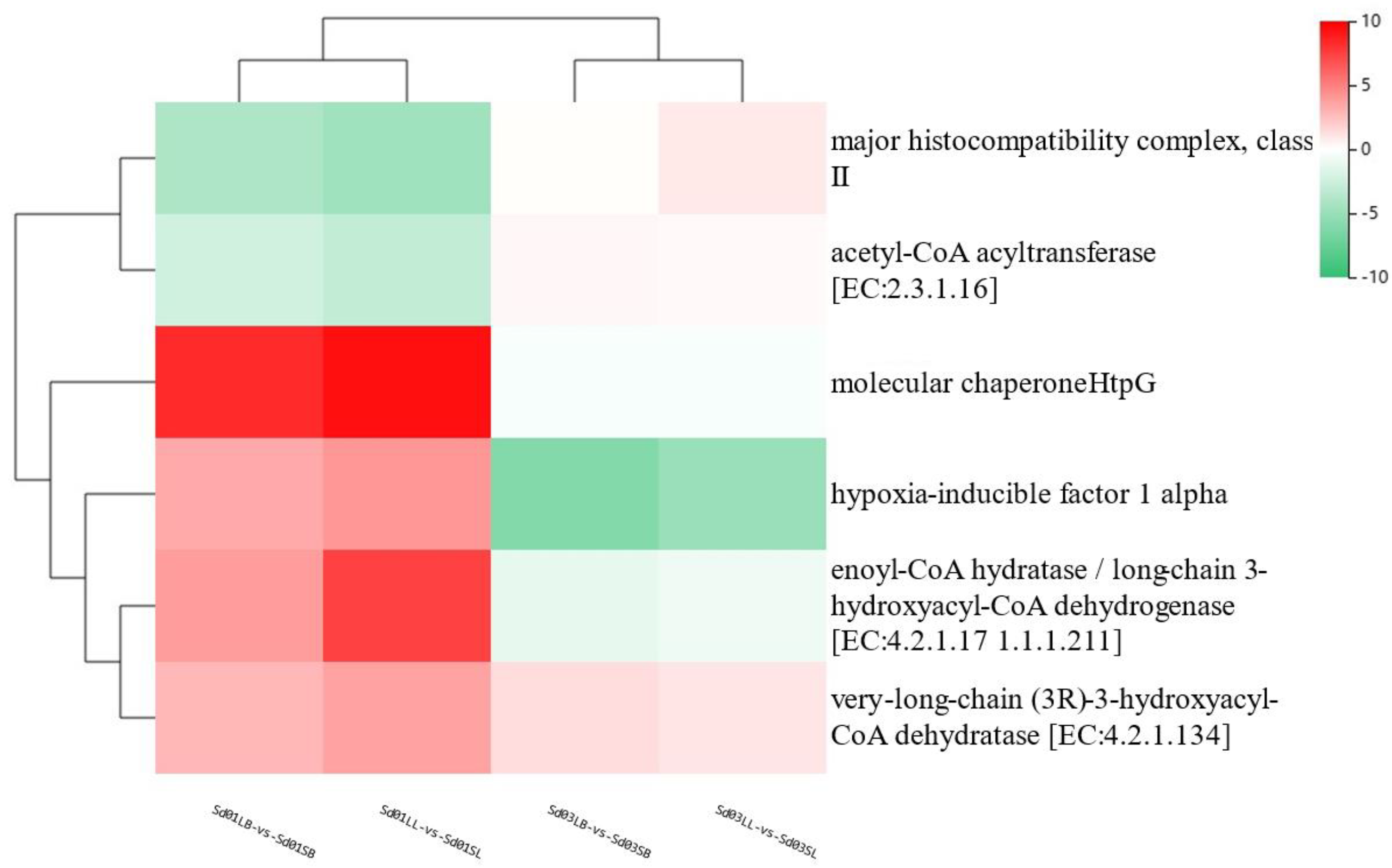 Fishes 09 00411 g005 Fishes 09 00411 g005
