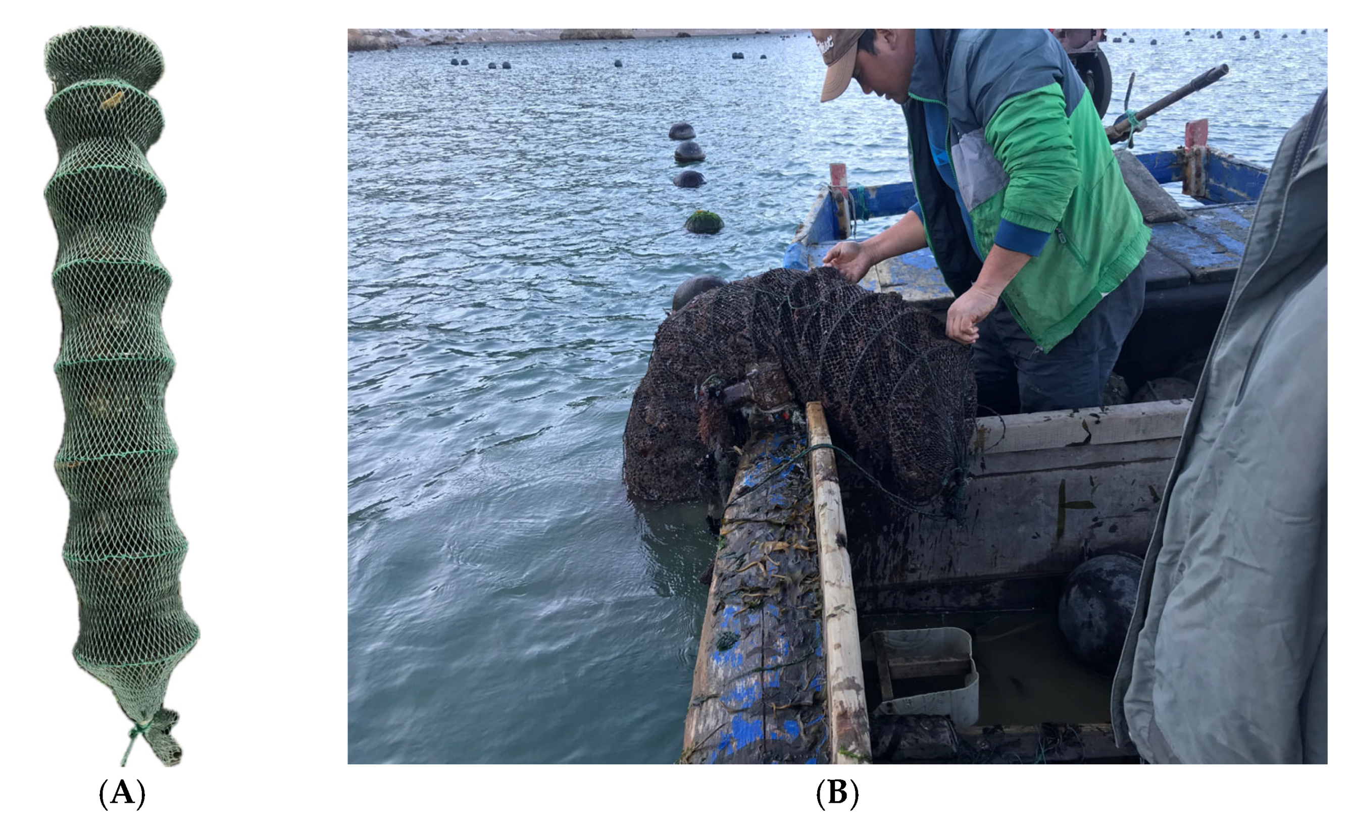 Fishes 09 00413 g001