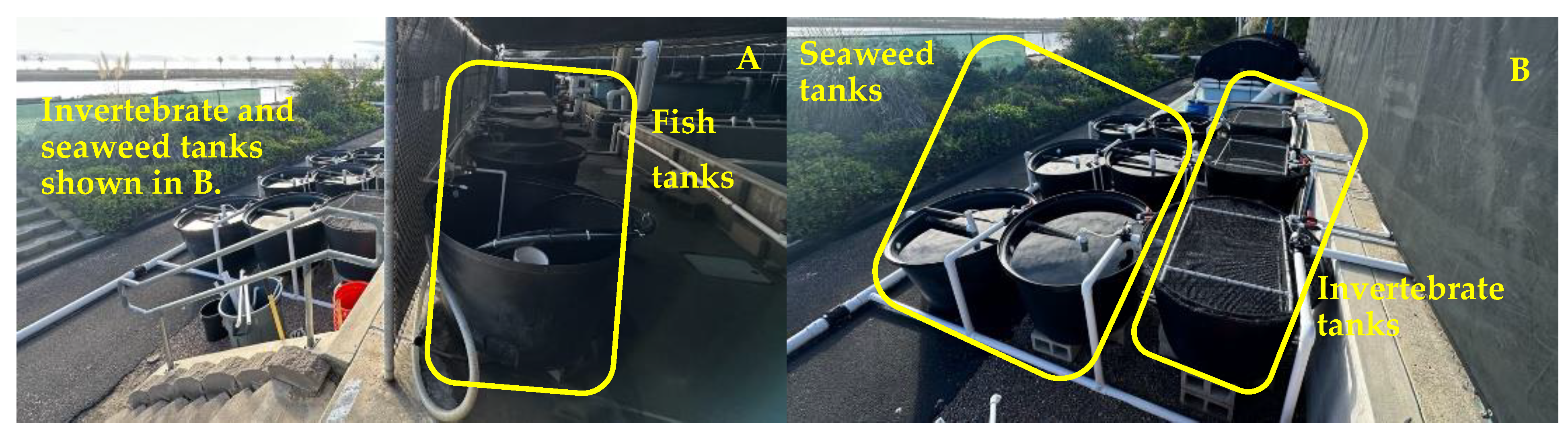 Fishes 09 00417 g001