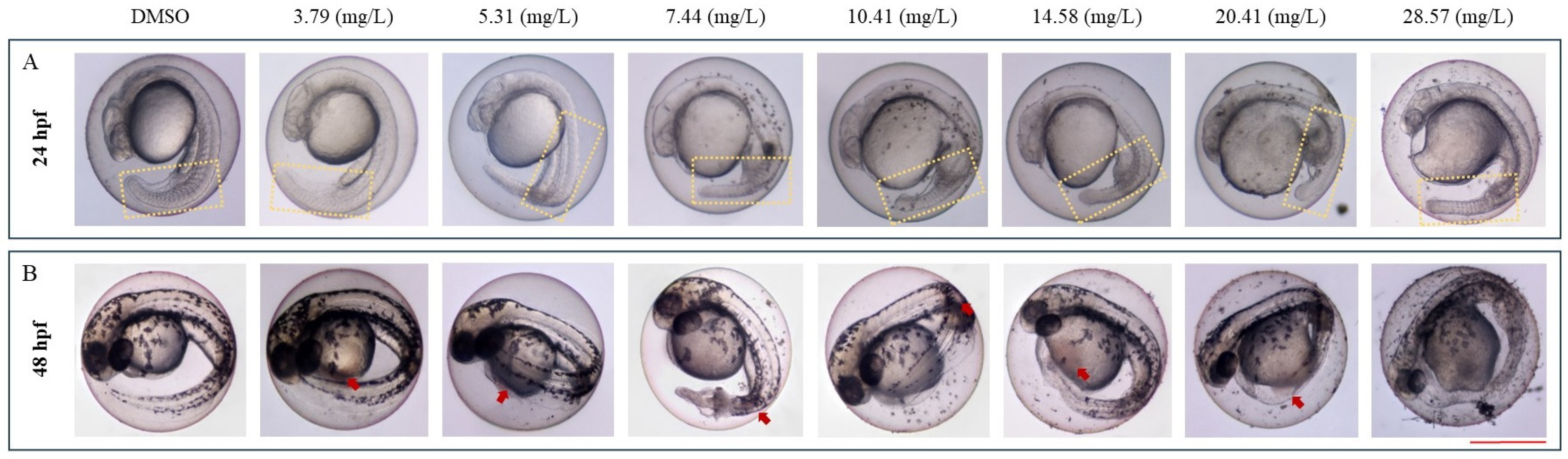 Fishes 09 00425 g001